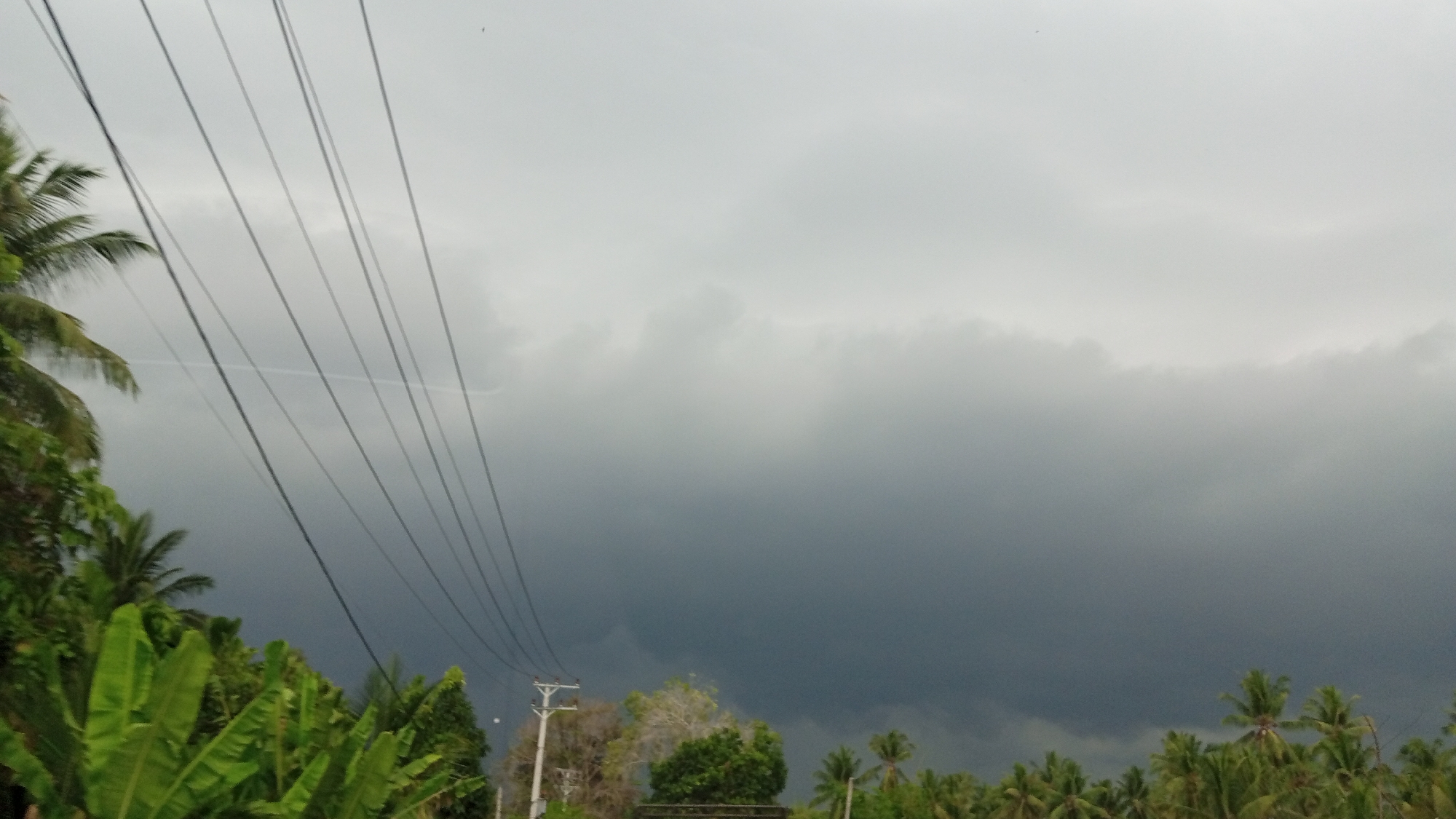 In the city of Blang Mee, Indonesia, a dark, ominous sky looms over a lush green landscape. Multiple power lines stretch across the frame, descending from the upper left towards the lower right. A few scattered palm trees and dense foliage, including banana plants, are visible on the left side of the image. A utility pole stands on the right, with more palm trees and greenery further in the distance. The sky is heavy with dark, rolling storm clouds, suggesting an impending downpour. The overall atmosphere is dramatic and somewhat foreboding, with the natural elements of vegetation and weather dominating the scene.