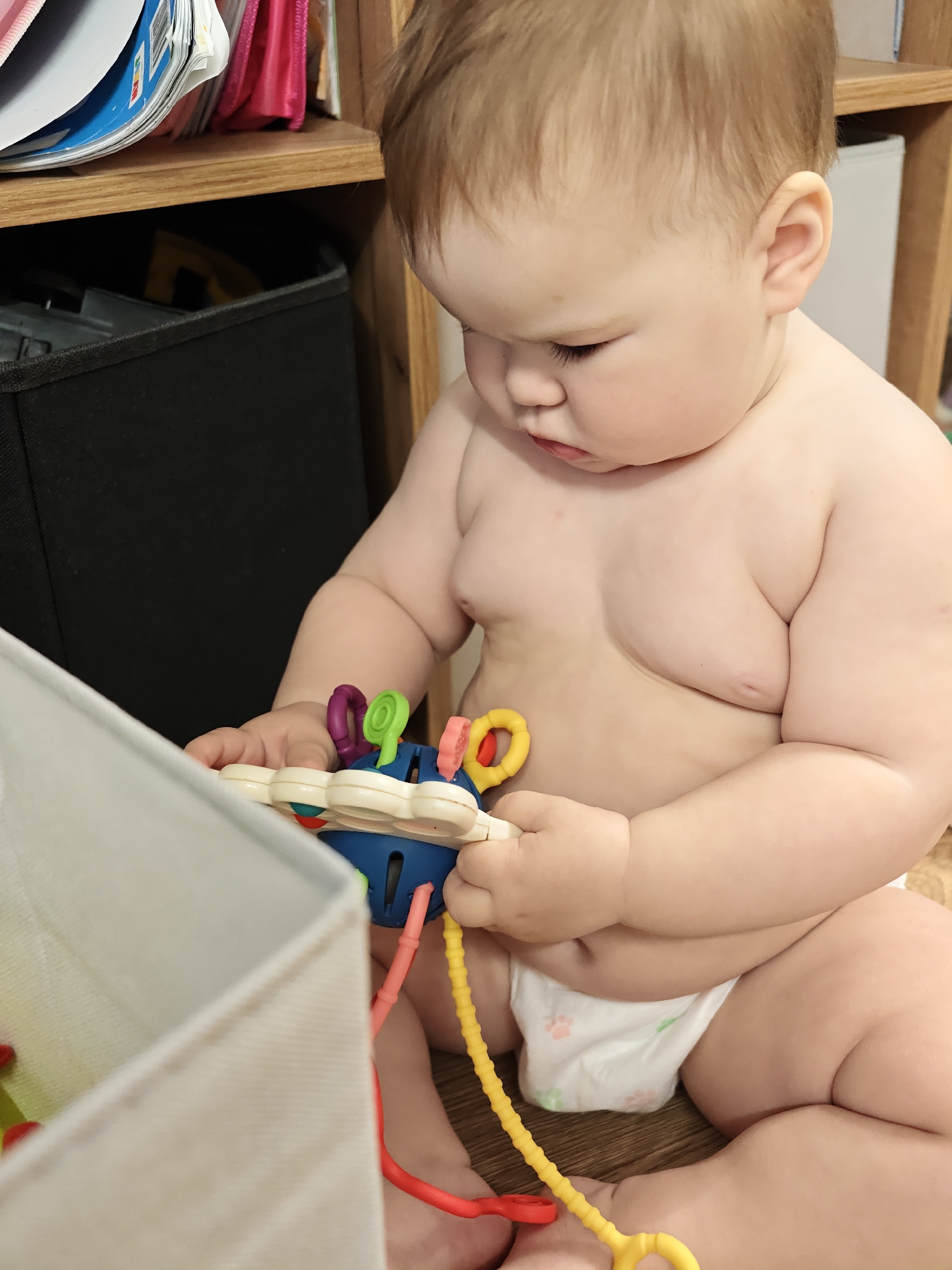 A fair-skinned baby wearing a diaper sits on a wooden floor. The baby is playing with a colorful, plastic toy consisting of a blue base with colorful shapes and flexible cords. A storage shelf is visible in the background. A black storage bin is on the shelf, and other objects are also on the shelf. A white container is to the left of the baby. The location of the photo is unknown and is not identifiable as Chaikovsky, Russia.