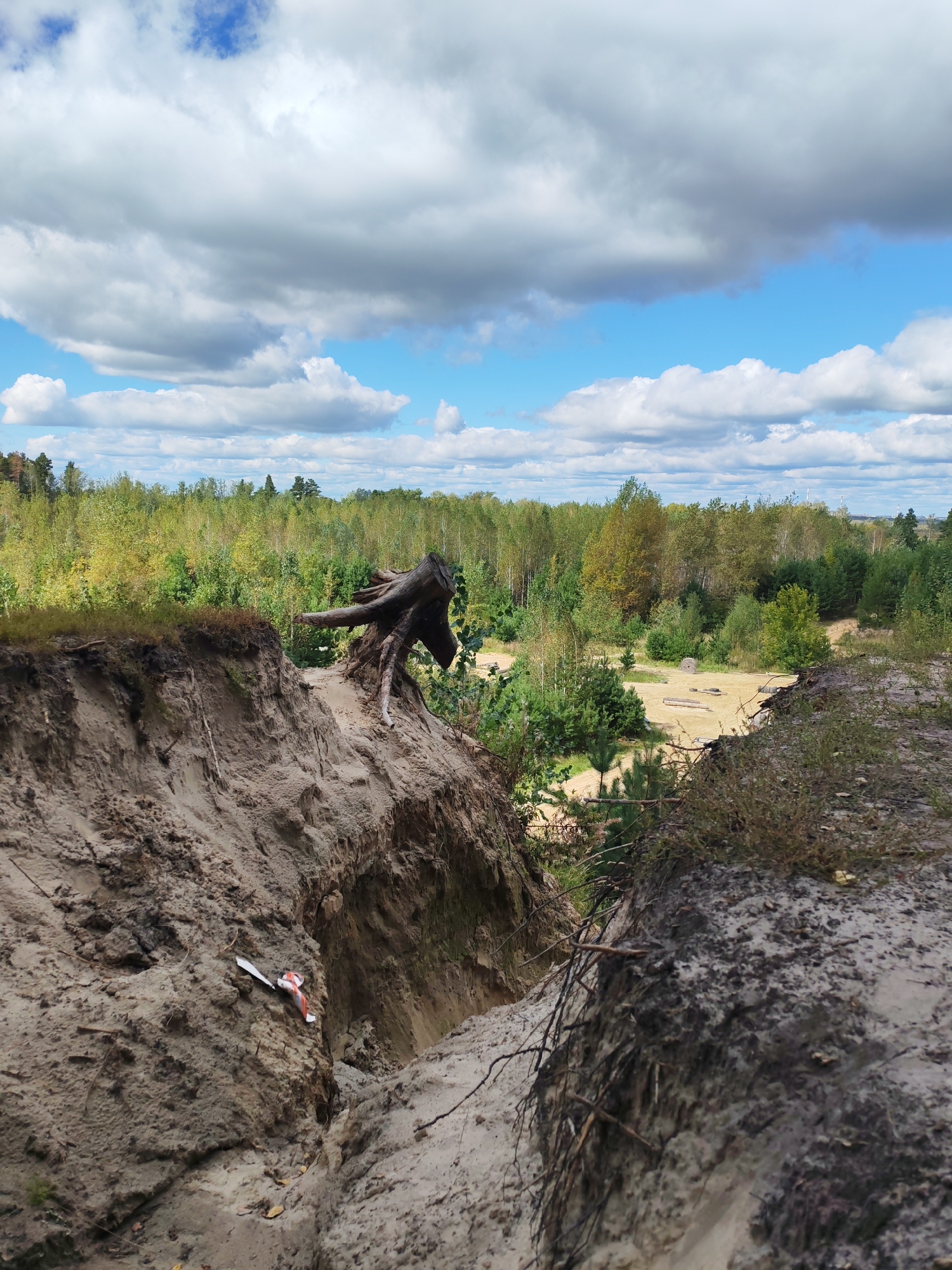 The image depicts a rugged, eroded landscape with a deep gully in the foreground, likely a sand quarry or natural erosion site. A weathered tree stump with exposed roots sits precariously on the edge of the gully. In the distance, a dense forest of green and yellowing trees stretches towards the horizon under a sky filled with scattered white and gray clouds. A small, sandy clearing with some logs and scattered debris is visible within the forested area. The scene appears to be located in a natural, undeveloped area, possibly on the outskirts of Kurgan, Russia, given the geological features and vegetation types often found in such regions. There are no people or animals visible in the image.