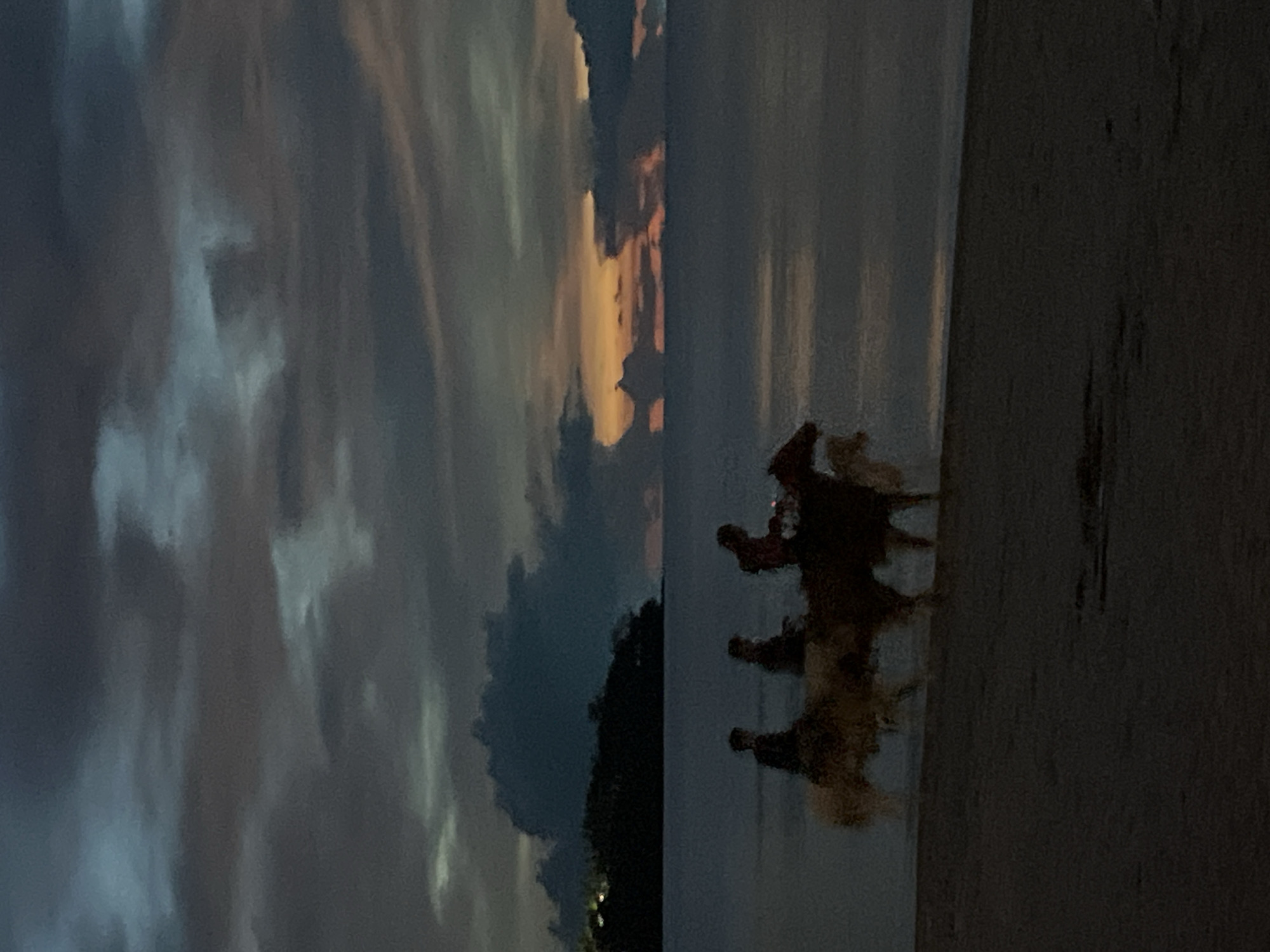 The image shows a beach scene at dusk or dawn. On the right side, there are four dogs running along the beach. The sky is visible in the background with clouds and colors suggesting either a sunset or sunrise. On the far right of the image is a dark area, obscuring what appears to be vegetation. The location is Unknown, Unknown.