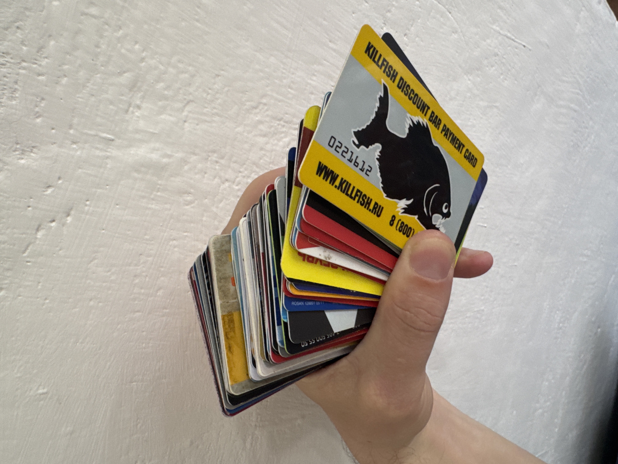 A close-up shot shows a hand holding a stack of plastic cards against a textured white wall. The top card is a yellow and gray Killfish Discount Bar Payment Card featuring a black fish, possibly a piranha. Text on the card includes "KILLFISH DISCOUNT BAR PAYMENT CARD," "0221612," "WWW.KILLFISH.RU," and "8 (800)." Other cards in the stack are multicolored and partially visible. Text on the other cards include "ROSAN 128891 05/11" and "105 500.55.50."