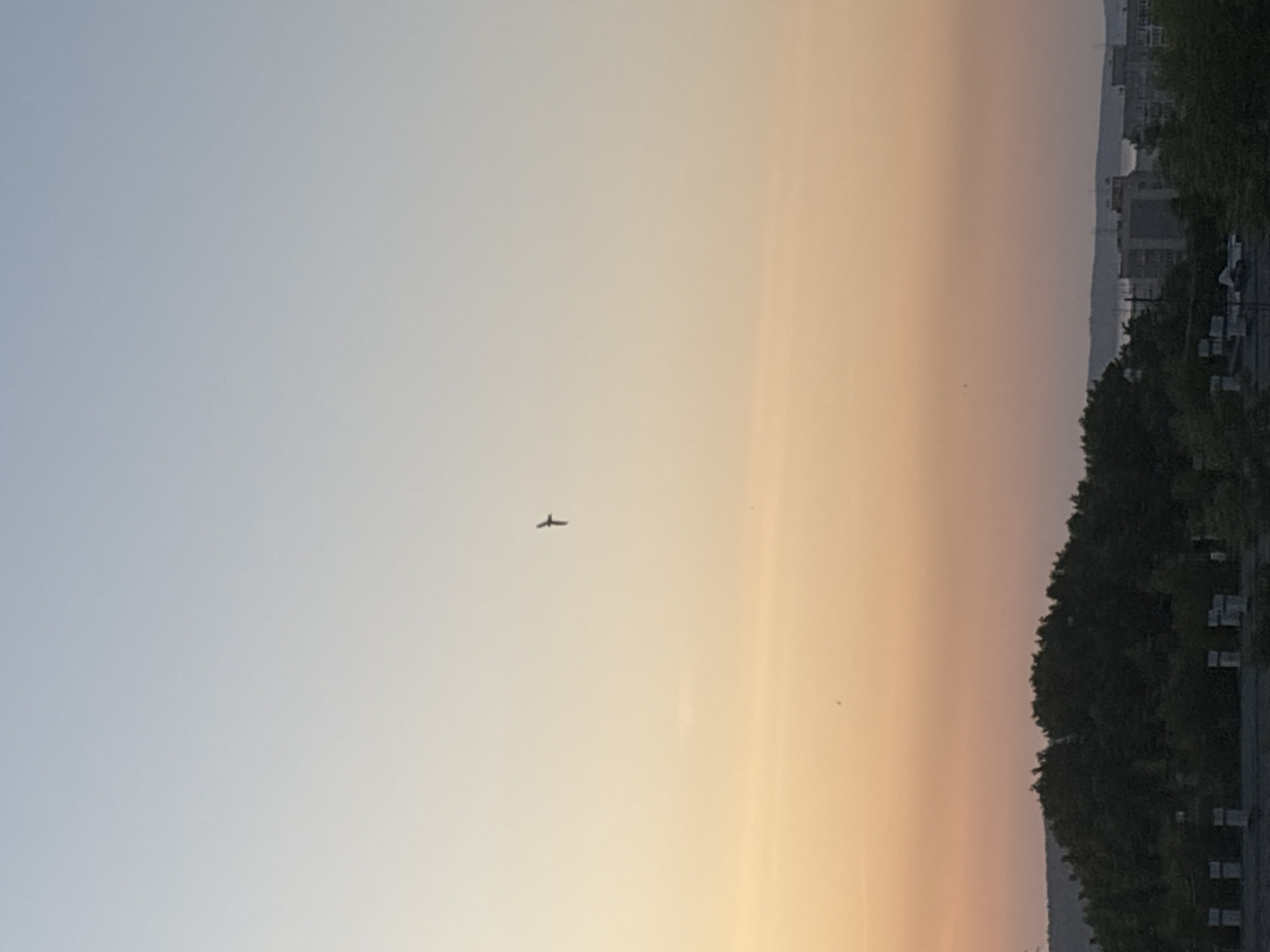 The image shows a sky with a faint orange glow near the horizon, transitioning to light blue above. A silhouette of an airplane is visible in the sky. The edge of a tree line and the outlines of buildings are visible on the right side of the image. The scene is in the city of Chaikovsky, Russia.