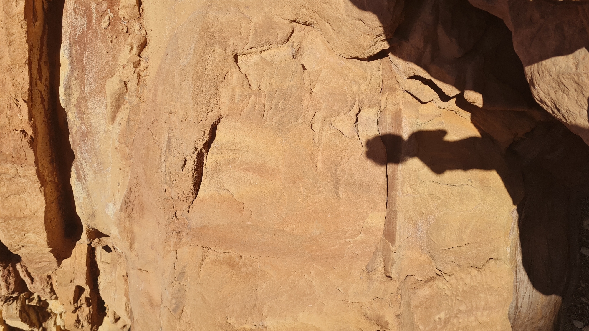 The image shows a close-up of a rock formation, likely sandstone, with varying textures and shades of reddish-brown. The rock surface has crevices and undulations, creating shadows that emphasize its uneven nature. A shadow is also cast onto the rock face from an object outside the frame, indicating a light source from above. The image was taken in the Hevel Eilot Regional Council, Israel.