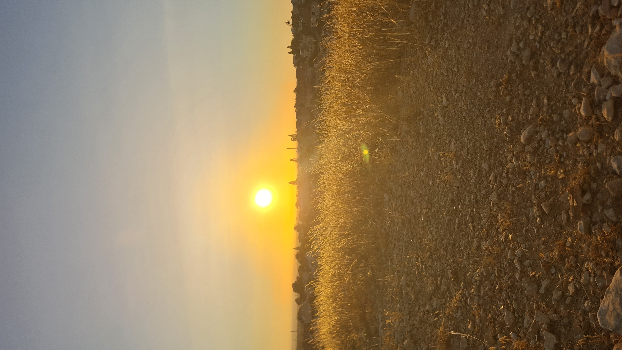 The image shows a sunset in Be'er-Sheva, Israel. The sun is bright and low in the sky, casting a golden light over the landscape. There is dry grass and small rocks covering the ground. In the background, there are buildings on a hill. The sky is a gradient of blue and yellow.