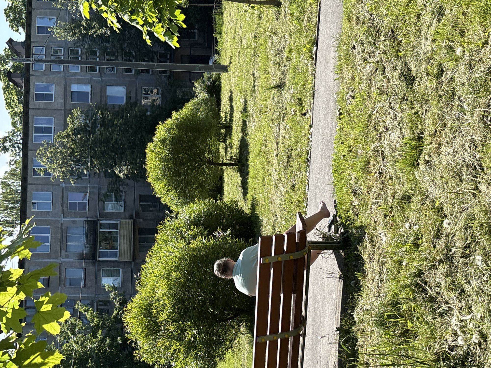 The image captures a sunny daytime scene in what appears to be an urban park or courtyard, featuring a person relaxing on a bench with a multi-story building in the background.
In the foreground, a person is seated on a slatted wooden park bench, facing away from the camera. They have light-colored hair tied up and are wearing a light blue or green short-sleeved shirt. Their bare feet are visible, with one foot resting on a lower support of the bench. A narrow concrete pathway runs alongside the bench.
The midground consists of a sprawling grassy area, which appears somewhat wild and unkempt, featuring various shades of green and scattered white seed heads, possibly dandelions. Several lush green trees and bushes are distributed across this area, casting distinct shadows on the grass, indicating bright sunlight.
In the background, a large, multi-story apartment building with a grey, possibly concrete, facade dominates the view. Numerous rectangular windows of varying sizes are visible across its surface. The architectural style suggests a Soviet-era construction. Parts of the building are partially obscured by the foliage of trees closer to the viewer. A utility pole or thin cable is also visible vertically in front of the building.
The scene conveys a sense of tranquility and relaxation, characteristic of a bright summer day. No discernible text is visible in the image.