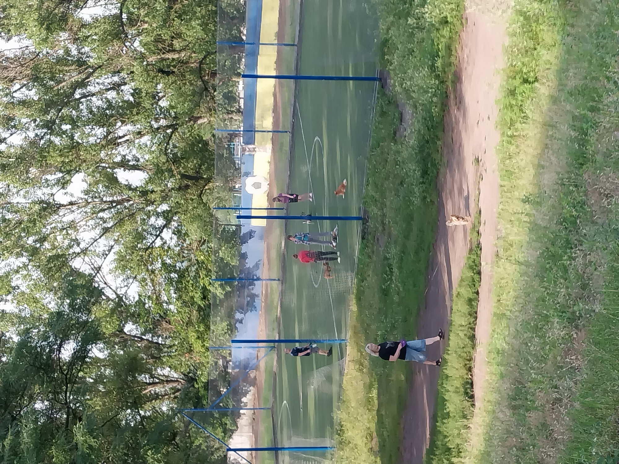 This image depicts an outdoor scene with a fenced sports field, likely a soccer field, in Dnipro, Ukraine. The field has artificial turf and markings. Several people and dogs are visible on and around the field. In the foreground, a woman with blond hair, wearing a black t-shirt and denim shorts, is walking a dog on a leash along a dirt path. The dog is small and light brown.
On the sports field, at least five individuals are present. One person, wearing a black t-shirt and grey shorts, stands near the center of the field. Another group of two individuals, one in a red jacket and the other in a plaid shirt, are positioned further down the field. A fourth individual, in a purple shirt and dark skirt, stands on the field. A fifth person, wearing a blue and white plaid shirt, is also on the field. There are at least two dogs on the field; one is light brown and lying down, while another, a small tan dog, is also visible.
The background features a fence surrounding the field, with blue posts and a mesh net. Beyond the fence, trees with dense green foliage are prominent, suggesting a park or recreational area. The sky is partially visible through the trees. The overall setting appears to be a sunny day. The presence of a Ukrainian flag, with its characteristic blue and yellow colors, is visible on a structure behind the field.