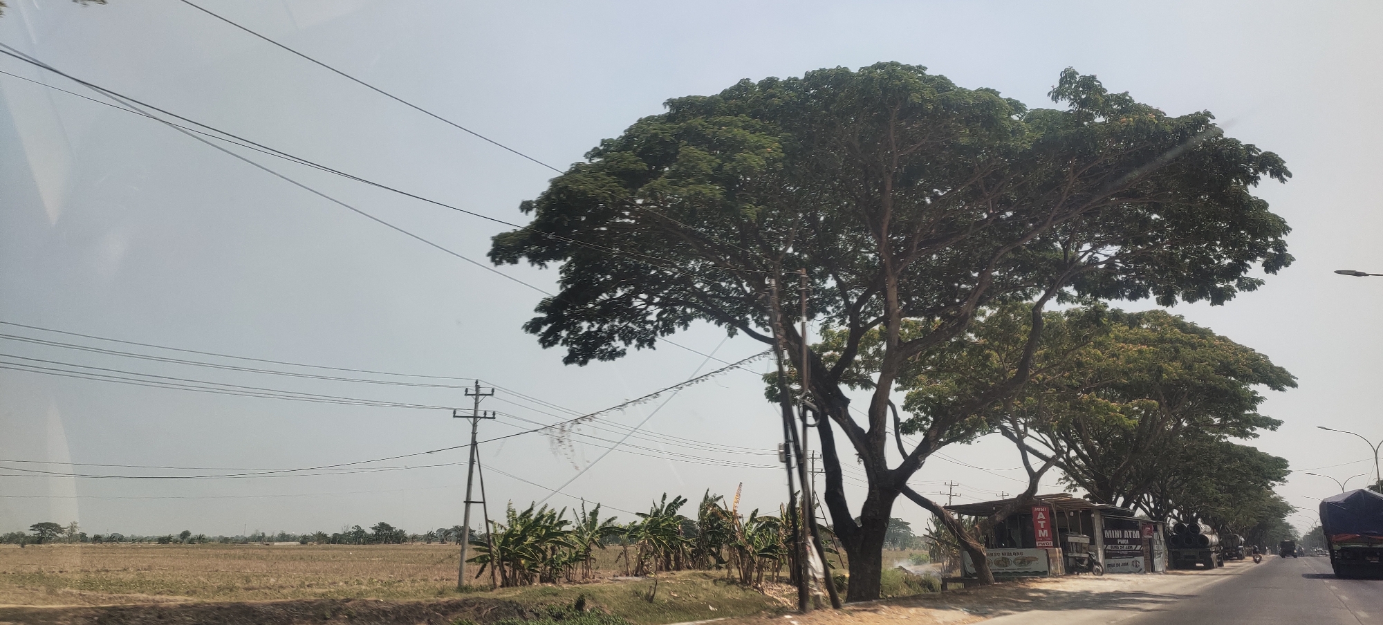 The image depicts a roadside scene in Wonoketingal, Indonesia. Dominating the foreground are several large, mature trees with dense green canopies. Power lines are visible strung across the sky, supported by utility poles. To the left of the frame, a field of dry grass or crops stretches towards the horizon, bordered by a low embankment.

Along the road on the right side, there are several small structures, including a stall with signage indicating "MINI ATM" and "PWOI". Trucks, motorcycles, and other vehicles are visible on the road, suggesting ongoing traffic. The overall environment appears to be a rural or semi-rural area with a clear, possibly hazy, sky. The scene is captured from a moving vehicle, as indicated by the slight blur and the angle of view.
