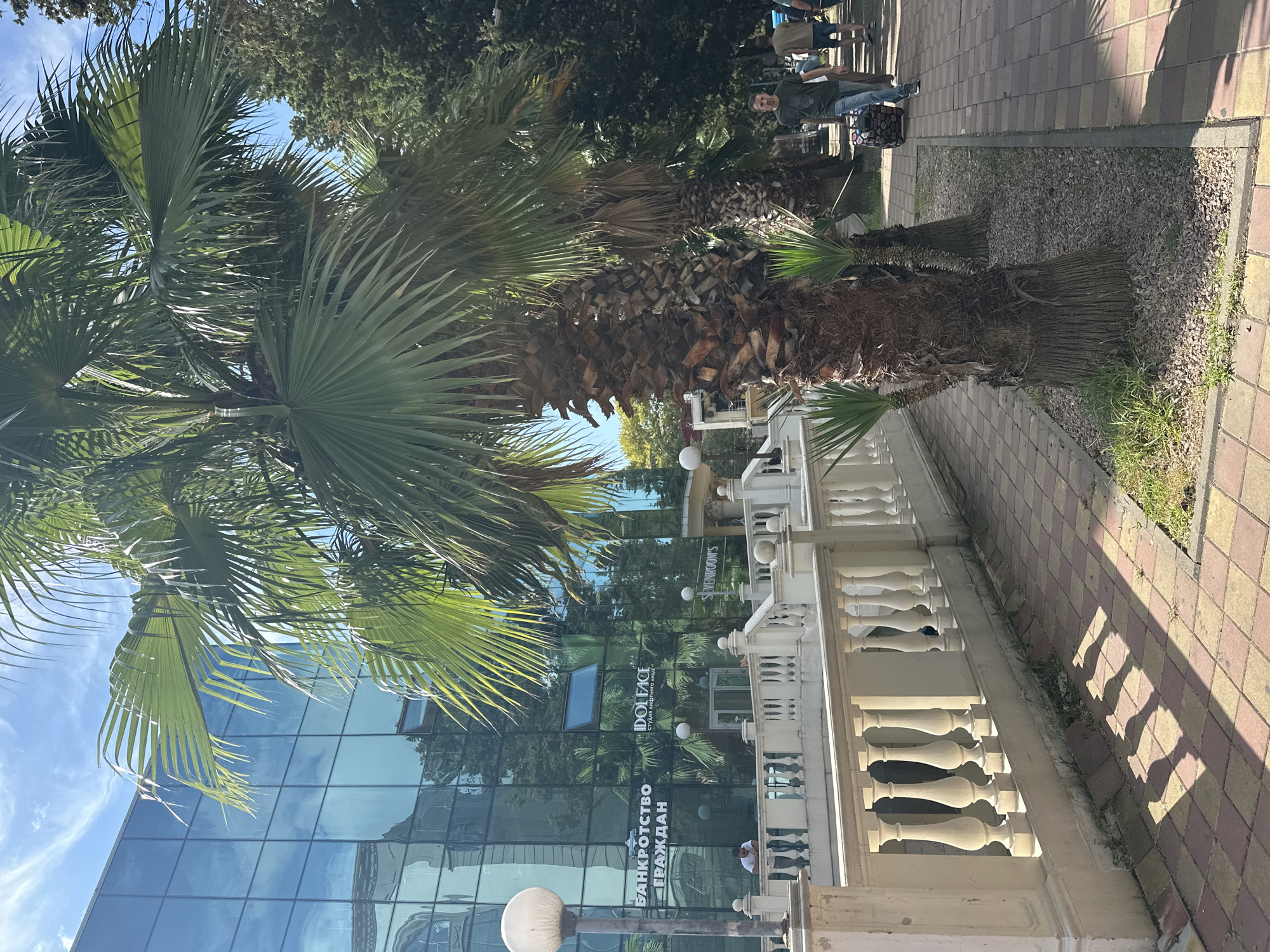 A sun-drenched scene unfolds in Sochi, Russia, featuring a modern building with a glass facade reflecting the sky and surrounding trees. In the foreground, large palm trees with thick, textured trunks stand tall, their fronds casting dappled shadows on a patterned brick walkway. To the left, a white balustrade with ornate pillars lines the walkway, bordering a small patch of grass. A street lamp with a white globe stands beside the balustrade. Further back, on the building's facade, visible signs include "BANKROTSTVO GRAZHDAN" (Bankruptcy of Citizens), "IDOLLACE" (Studio of Aesthetic Medicine), and "SEVENROOM'S". People are seen strolling along the walkway and near the building entrance. The atmosphere is bright and leisurely, characteristic of a warm day in a resort city.