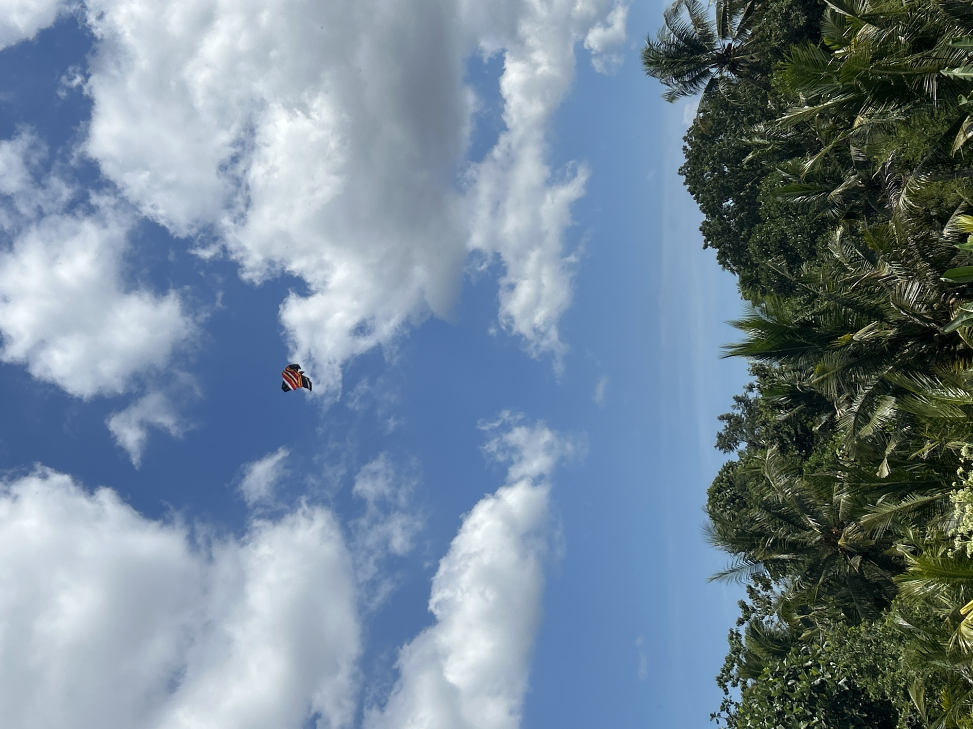 The image depicts a kite flying in a blue sky with scattered white clouds. The background is partially obscured by lush green trees. The location is in Kediri, Indonesia.