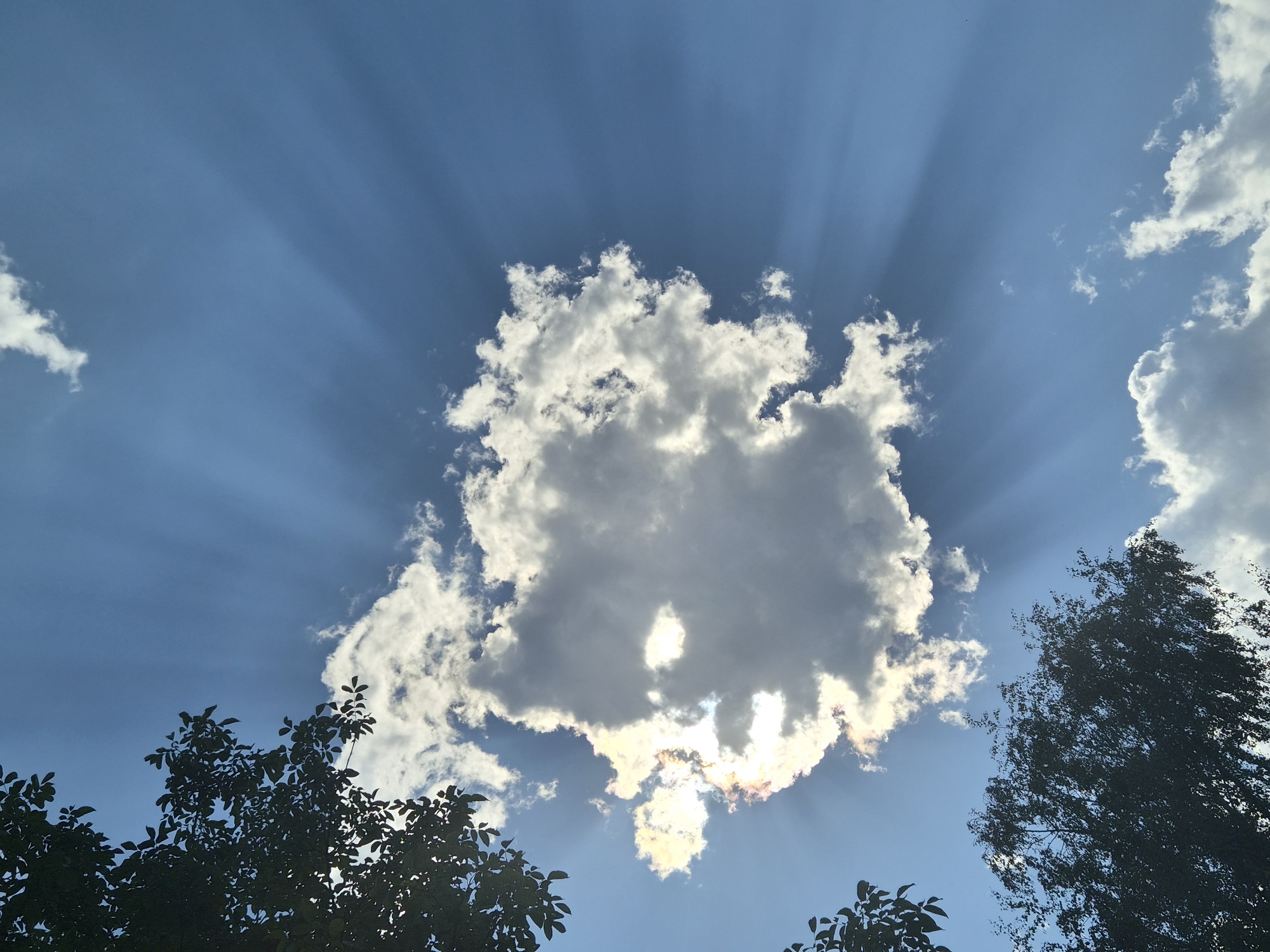 The image shows a clear blue sky with scattered clouds and sunbeams. In the foreground, the silhouettes of trees are visible from below, suggesting a view looking upwards. The sun is partially obscured by a large, bright cloud, creating dramatic crepuscular rays that emanate outwards. The overall impression is one of a sunny day with interesting cloud formations. The location is specified as Landl, Austria, but this detail cannot be visually confirmed from the image itself.