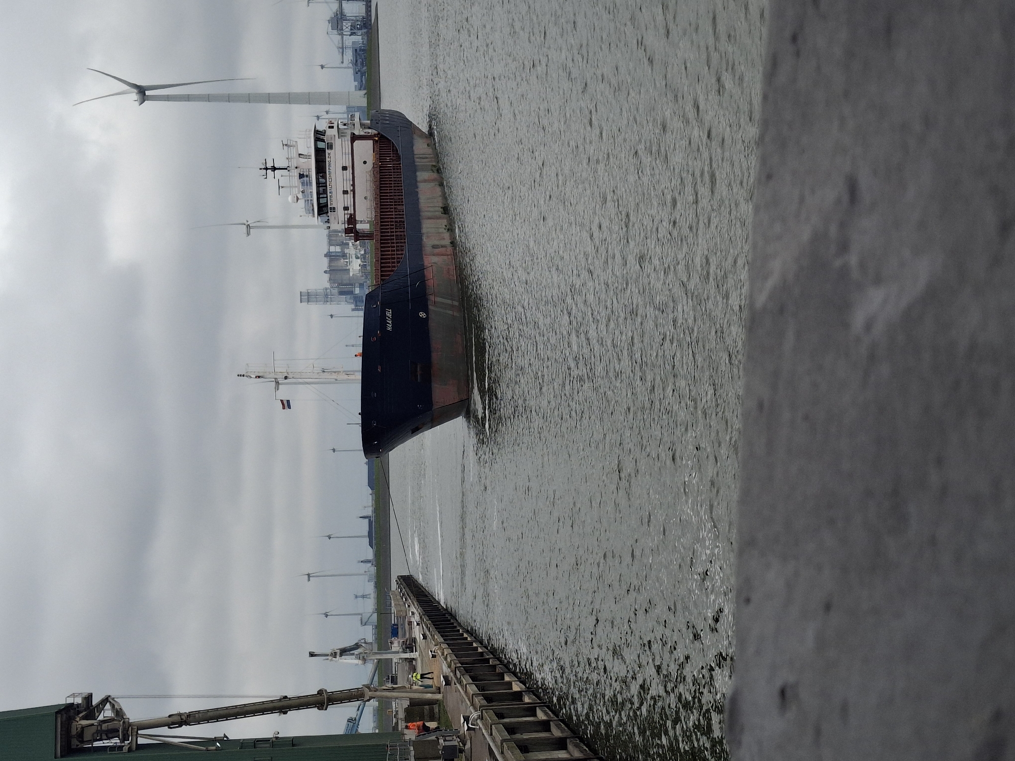 The image shows a cargo ship, the HAAPAFELL, docked at a pier in Eemshaven, Netherlands. The ship is oriented lengthwise along the pier with its stern visible. The environment is overcast, with a grey sky. Wind turbines are visible in the background along the shoreline. There is a crane visible on the pier with at least two people wearing bright clothing, presumably workers. The water is rippled and reflects the sky. A concrete structure is partially visible on the right side of the image.