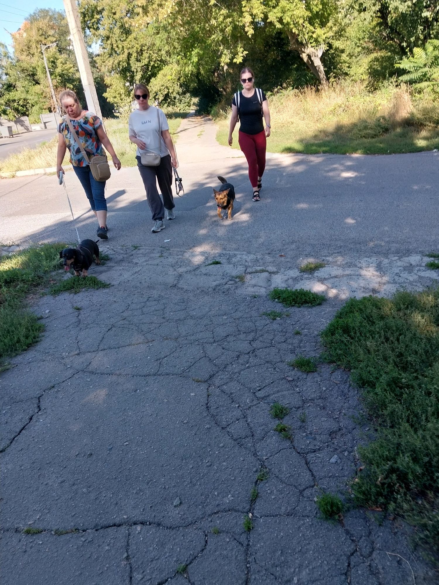 Three women and two dogs are walking along a cracked asphalt path adjacent to a grassy area and trees. The woman on the left is wearing a colorful patterned blouse and blue jeans, holding a white cane. She is walking a small black dachshund on a leash. The middle woman is wearing a grey t-shirt and dark pants, walking her own small black and brown dachshund. The woman on the right is wearing a black t-shirt and burgundy leggings, with a backpack. All three women appear to be walking in the same direction. The environment suggests a park or a residential street in Dnipro, Ukraine, given the presence of trees and the style of pavement. The sky is clear and blue, and the lighting indicates it is daytime, likely late afternoon due to the shadows.