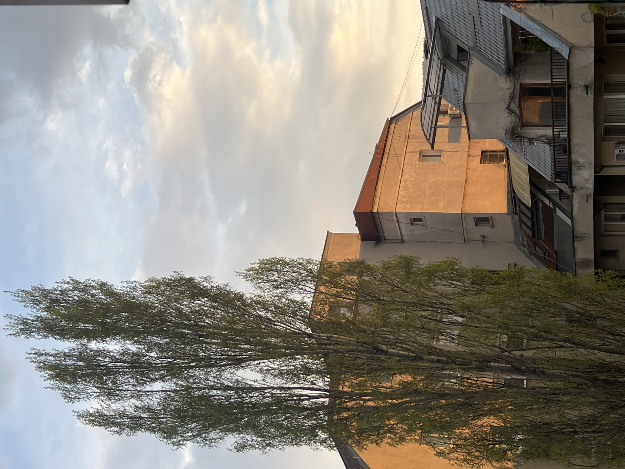 This image, captured in Sofia, Bulgaria, depicts an urban scene featuring buildings and a large deciduous tree under a cloudy sky, likely during late afternoon or sunset. The perspective is angled upwards, with elements appearing to lean due to the original orientation of the photograph.
On the left side of the frame, a large tree with abundant green foliage stands prominently. Its numerous branches, thick with leaves, extend upwards and across a significant portion of the sky, creating a natural screen.
To the right, several multi-story buildings are visible. The most prominent building features a dark gray, corrugated sloped roof with various extensions, balconies, and what appear to be external structures made of metal and glass. Its facade is a light, somewhat weathered gray or off-white. Behind and to the right of this structure, another building with a lighter, possibly ochre-colored facade is partially visible, warmly illuminated by the low-angle sunlight. Details like windows and air conditioning units are discernible on the buildings.
The sky, occupying the upper part of the image, is filled with a mixture of white and gray clouds. Patches of golden light break through the clouds, casting a warm glow on the buildings, particularly the ochre-colored one, and highlighting the edges of the clouds. This warm, golden light suggests either late afternoon or early morning.
The scene is static, with no human activity or visible people. The architecture has a functional, urban aesthetic typical of many European cities. No visible text is present in the image.
