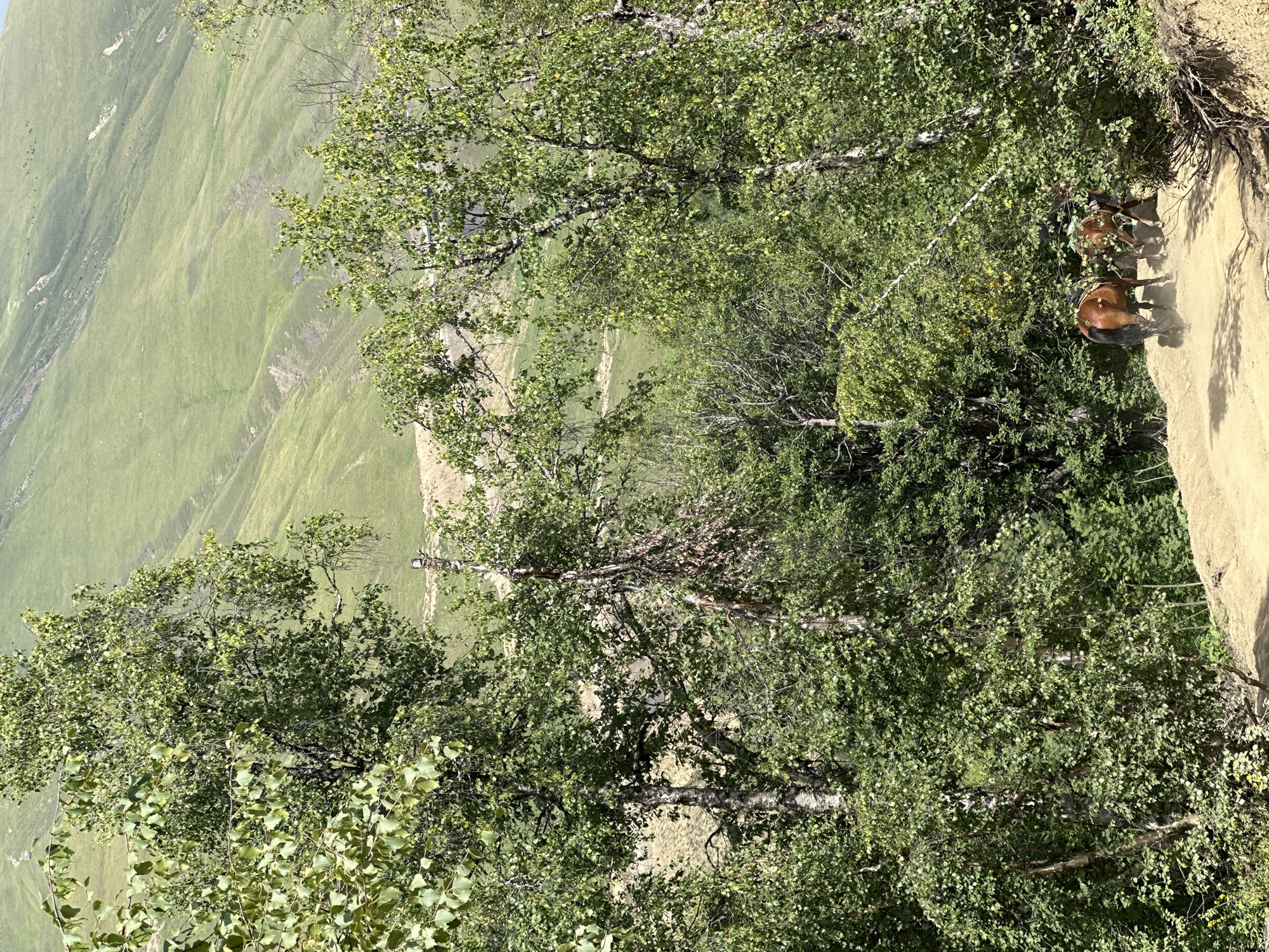 The image depicts two horses with riders on a dirt path in a forested mountainous area. The horses are brown and are walking away from the camera, down the path. The riders are partially obscured by the trees. The path is sandy and appears to be a hiking trail. In the background, there are rolling green hills covered in grass, with some evidence of erosion and past landslides. Several trees with green foliage are in the foreground, obscuring parts of the view. The sky is bright and appears to be daytime. This scene is located in Lunnaya Polyana, Russia.