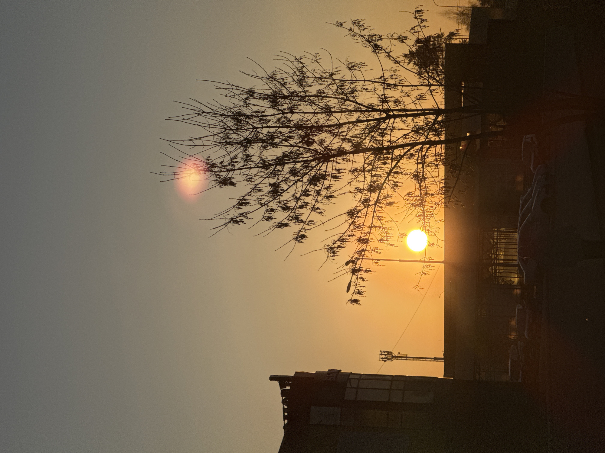 The image depicts a sunset with a tree silhouetted against the golden sky. A building is visible in the lower portion of the frame, while cars and a streetlight are discernible to the right. The location appears to be an urban environment.