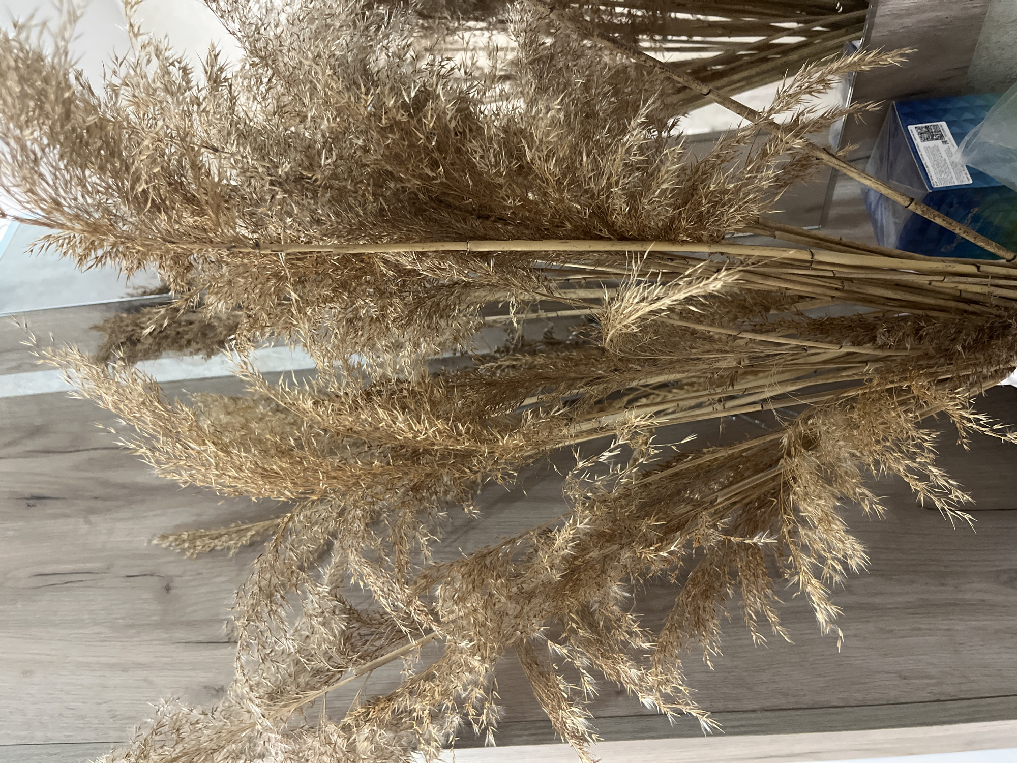 The image shows a close-up of dried pampas grass in a vase, with a light-colored wooden textured wall in the background. The pampas grass has light brown, feathery plumes and thin, dry stalks. Some of the plumes are catching the light, creating a soft glow. In the lower right corner, a blue box with white labeling and a QR code is visible, along with some clear plastic packaging. The overall scene is static and appears to be an indoor setting, likely a home or a commercial space. There are no people or animals in the image. The scene is not specifically identifiable as being in Tyumen, Russia.
