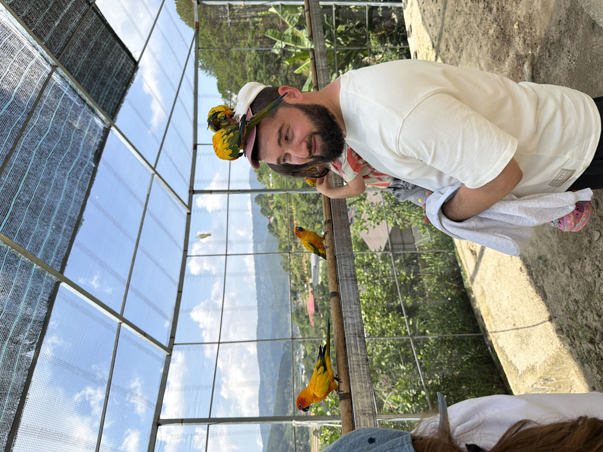 In the city of Định An, Vietnam, a man with a beard is standing in an aviary, holding a child and a white towel. Several sun conure parrots are perched on his head, wearing a pink and white cap. In the background, two other sun conure parrots are sitting on a wooden perch outside the aviary, with a lush green landscape visible beyond the wire mesh enclosure. The aviary's roof is made of netting and metal framing, with a clear sky overhead.