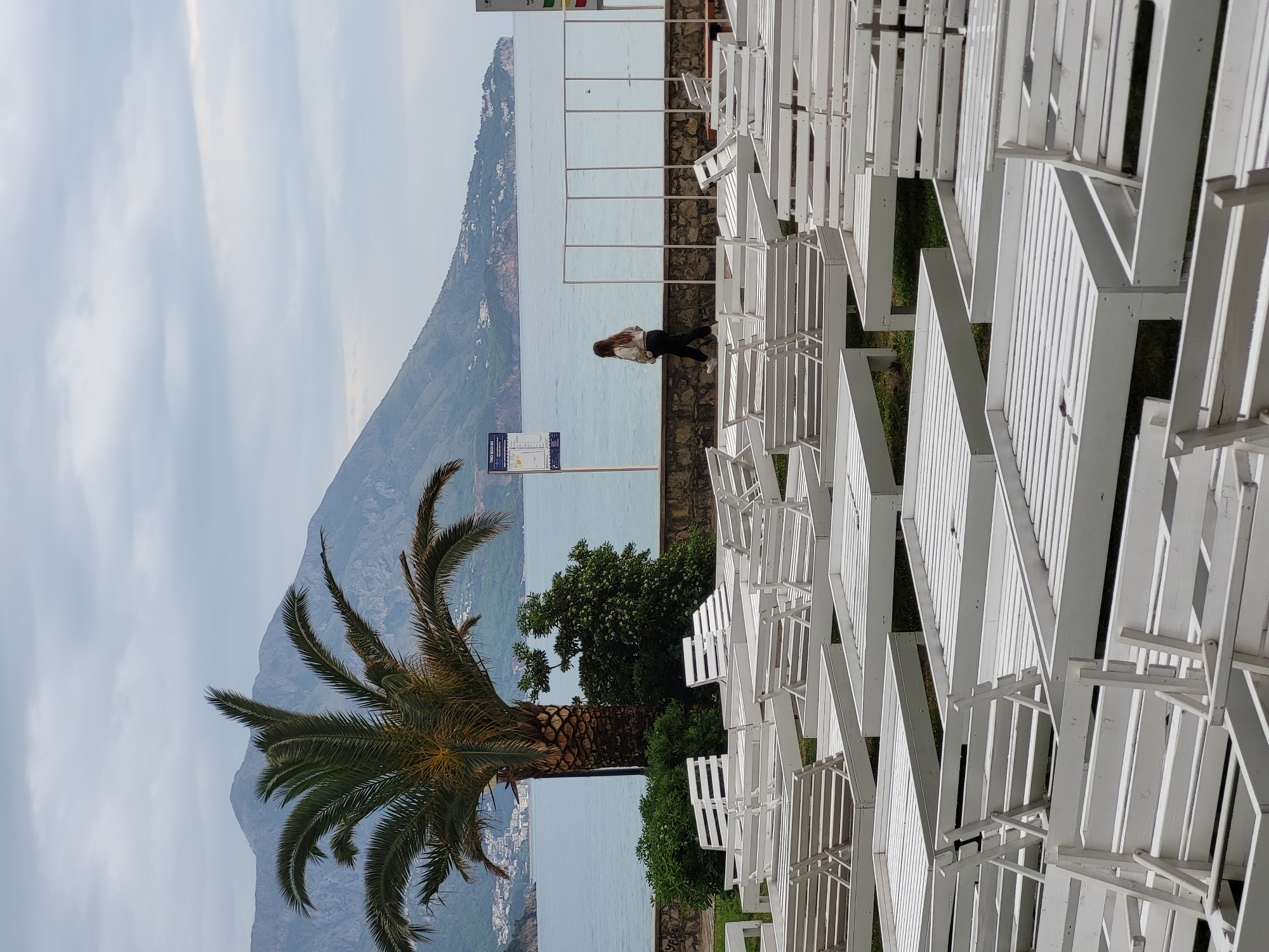 The image, taken in Budva, Montenegro, presents a coastal landscape featuring a beach or promenade area overlooking the sea. The perspective is from an elevated vantage point looking across a row of amenities towards distant mountains.
In the foreground and occupying the right side of the frame, numerous white wooden sun loungers or deck chairs are neatly arranged in rows on a grassy strip, suggesting a recreational or resort setting. A low stone wall runs horizontally across the midground, separating these loungers from the water.
A lone individual, dressed in a light-colored top and dark trousers, stands on this stone wall in the center of the image, gazing out over the calm, light blue sea. Near the person, two informational signs on poles are visible. The sign closer to the viewer clearly displays "PRAVILA PONAŠANJA NA PLAŽI" (Rules of Conduct on the Beach) at its top, followed by a list of regulations. To the left, a prominent palm tree with a thick trunk and spreading green fronds anchors the left side of the scene. A bushy green tree is also visible behind the wall near the palm tree.
In the background, majestic, verdant mountains rise from the far side of the bay, dotted with small white buildings. The sky is overcast with soft, light grey clouds, indicating a cloudy day, possibly morning or late afternoon, contributing to a peaceful and serene atmosphere.