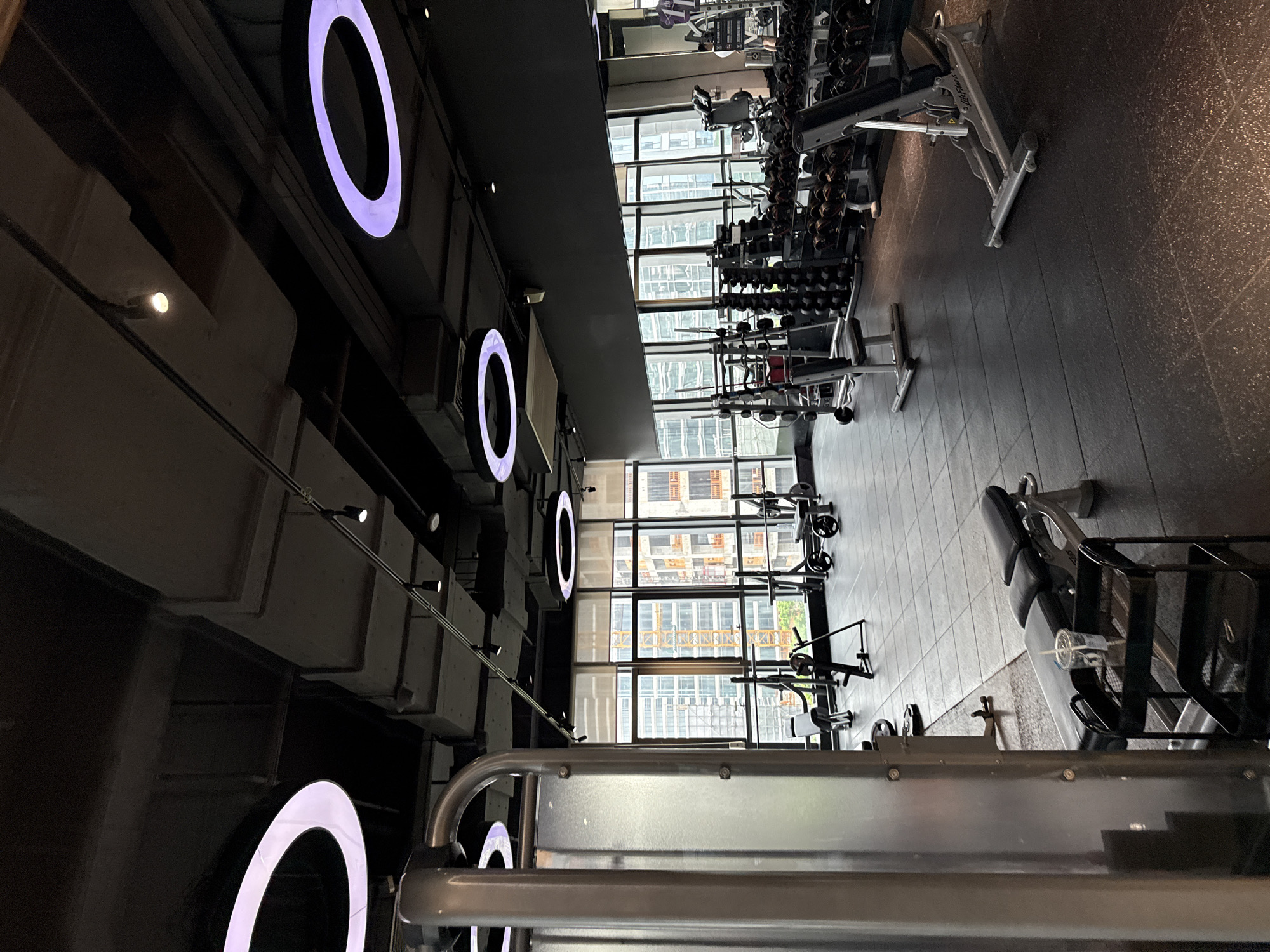The image depicts the interior of a modern gym in Haizhu District, China. The gym features a black tiled floor and a high ceiling with exposed ducts and industrial-style lighting, including large circular purple ring lights. Large windows offer a view of a city skyline with construction cranes and buildings. The gym is equipped with various exercise machines, including weight racks filled with dumbbells, weight benches, and other strength training equipment. In the foreground, a portion of a large metal gym machine is visible, along with a small black utility cart holding a clear cup with a straw. The overall atmosphere is one of a well-equipped, contemporary fitness facility.
