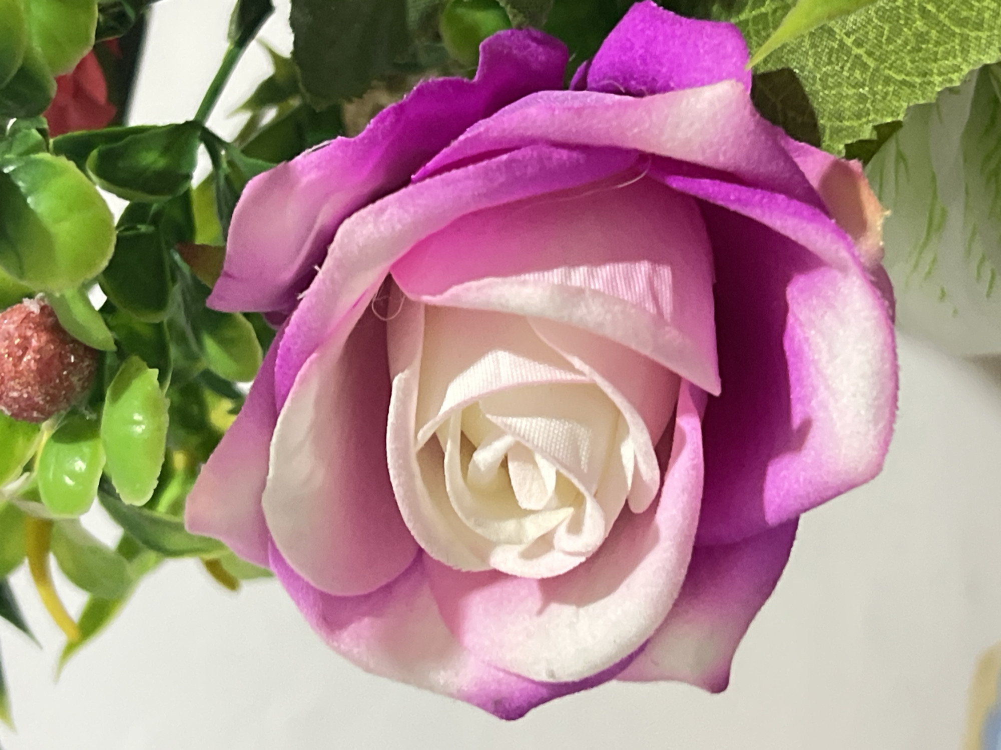 The image is a close-up of a pink and white rose with green foliage and a red berry in the background. The rose is artificial, as evidenced by the texture of the petals and the slightly unnatural sheen. The lighting suggests an indoor setting, possibly near a window, with a soft, diffused light illuminating the flower. The background is a plain, light-colored surface, likely a wall. The overall impression is of a decorative artificial flower arrangement. There is no indication of the city of Denpasar, Indonesia, or any specific location within it.