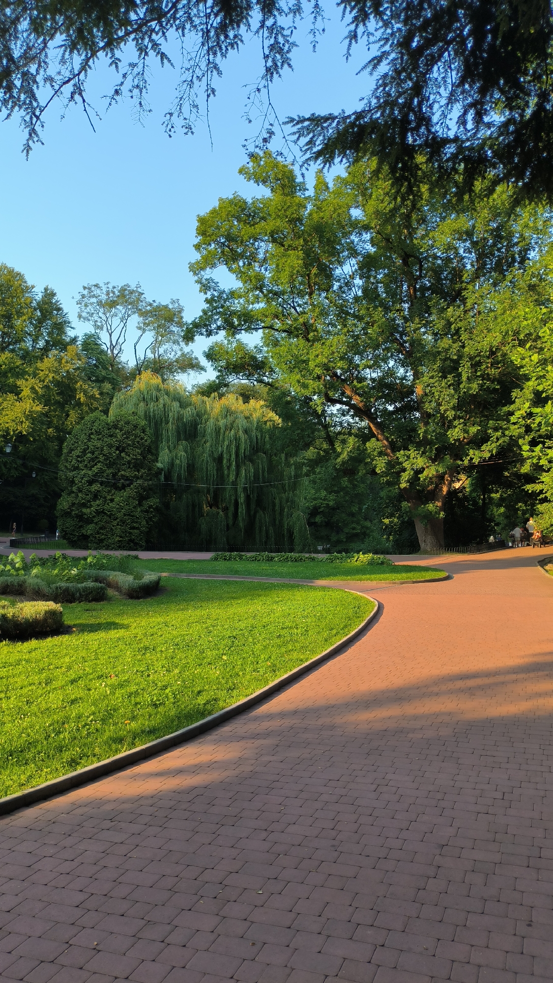 The image depicts a pathway in a park, likely in Lviv, Ukraine, under a clear blue sky. The pathway is paved with reddish-brown bricks and curves from the foreground into the background, bordered by a manicured green lawn. Lush trees and foliage dominate the scene, with a prominent weeping willow tree in the middle ground. Sunlight casts shadows across the path and illuminates the greenery. In the background, a few individuals can be seen walking or sitting, suggesting a public park setting. The overall atmosphere is serene and natural.