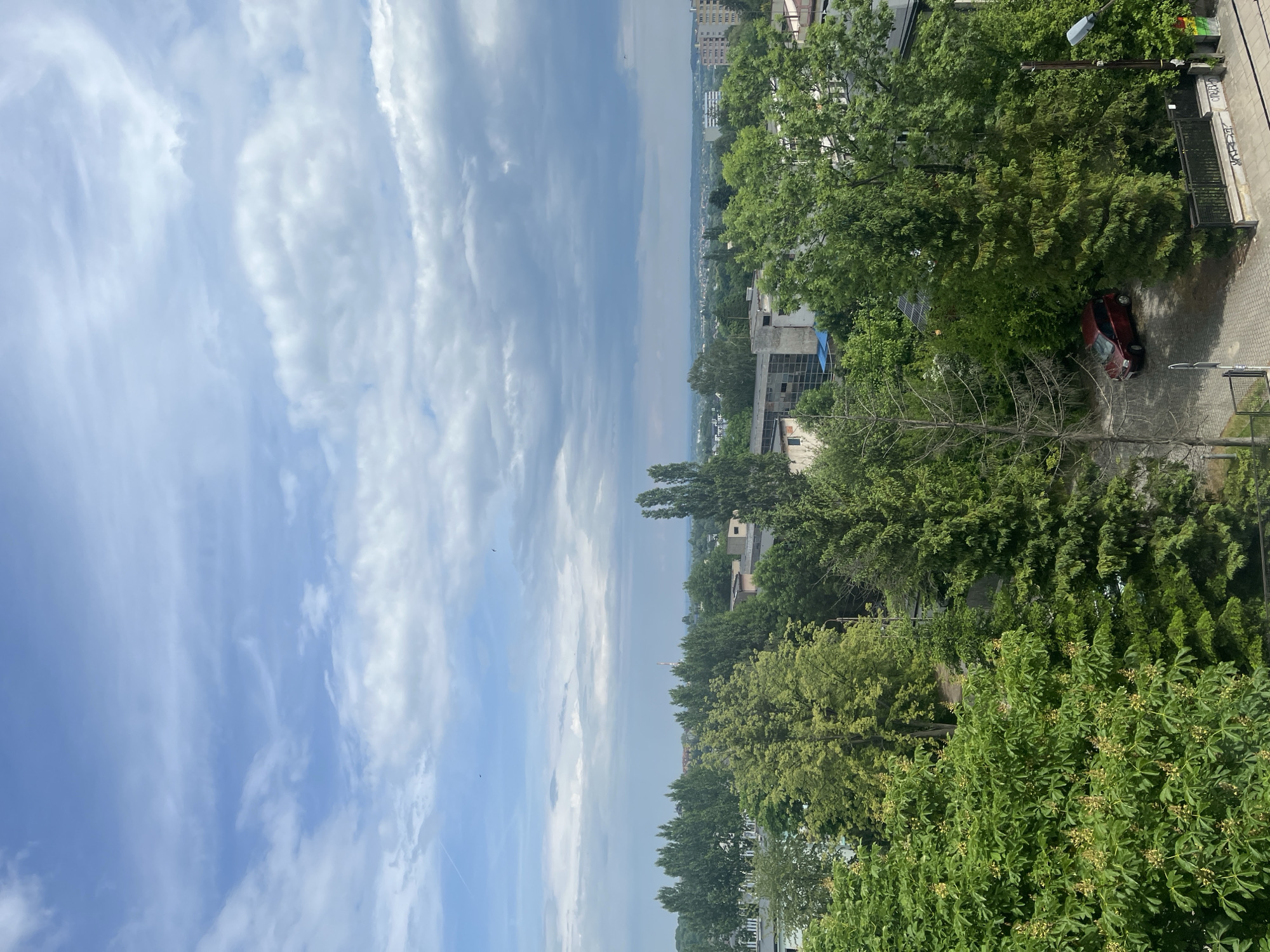 The image displays a daytime panoramic view of an urban or suburban landscape, dominated by a wide expanse of sky and a lush green canopy of trees. The sky, occupying the upper half of the frame, is a bright blue with scattered white clouds of various densities and shapes, from wispy formations to larger, fluffier clouds. A faint airplane contrail is visible on the left, and a couple of tiny dark specks, possibly birds, can be seen against the sky.
Below the horizon, the scene unfolds into a mixture of natural foliage and human infrastructure. Numerous green trees with dense canopies fill the lower half of the image, showcasing varying shades of green and different species. In the immediate foreground, a bushy tree with clusters of yellowish-white flowers or buds, possibly a horse chestnut, is prominent. A bare, light-colored tree trunk stands out in the lower-middle part of the frame.
In the mid-ground, a distant cityscape stretches along the horizon, revealing several buildings amidst more trees. These include a taller, multi-story building with numerous windows on the right, and other structures of various sizes, one of which appears to have a blue tarp on its roof or side.
Towards the lower right, a paved area, likely a street or driveway, is visible, where a red car is parked. Above the car and slightly to its left, a dark-colored streetlight extends over the trees. Adjacent to the paved area, a dark metal fence or gate is visible, bearing graffiti that appears to spell "ГРАЧИ" (Grachi) in Cyrillic script. A small solar panel is also partially discernible among the trees near the parked car.
The time of day appears to be mid-day, characterized by bright, even lighting and a lack of strong shadows. The weather is clear and pleasant, indicating a sunny or partly cloudy day. The scene conveys a calm, naturalistic urban environment.