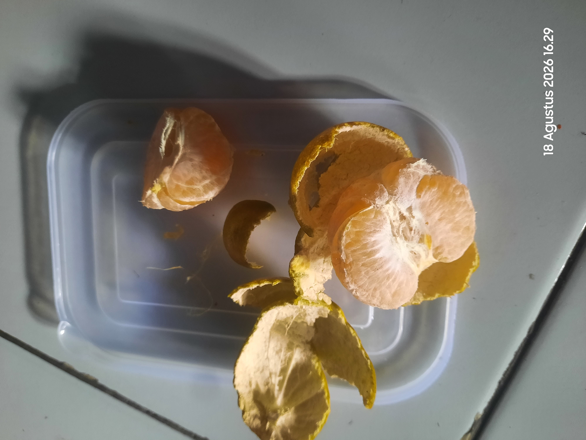 This image shows peeled tangerines and their peels inside a clear plastic container on a tiled surface. The scene appears to be indoors, possibly a kitchen, based on the tiled floor and the plastic container. The lighting suggests it could be nighttime or a dimly lit room, casting shadows on the wall behind the container. A date stamp in the bottom right corner reads "18 Agustus 2026 16.29," which translates to "August 18, 2026 4:29 PM" and indicates the time and date the photo was taken. The specific location within Sukokerto, Indonesia, cannot be determined from the visual information alone.