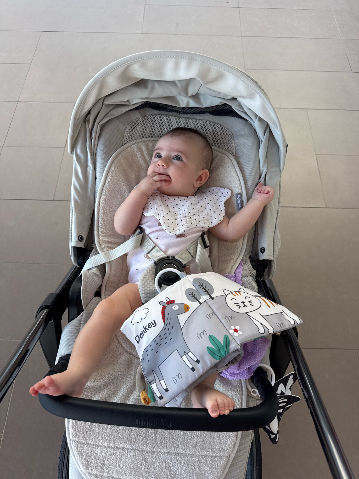 A baby sits in an Inglesina stroller on a tiled floor. The baby is wearing a white bib with black polka dots and a white onesie with a subtle pattern. The baby's left hand is in their mouth, and their right hand is outstretched. A soft book with cartoon animals, including a donkey and a cat, is placed in front of the baby. The stroller is light gray and appears to be indoors. The background shows a beige tiled floor. There is no indication of Isola delle Femmine, Italy, in the image.