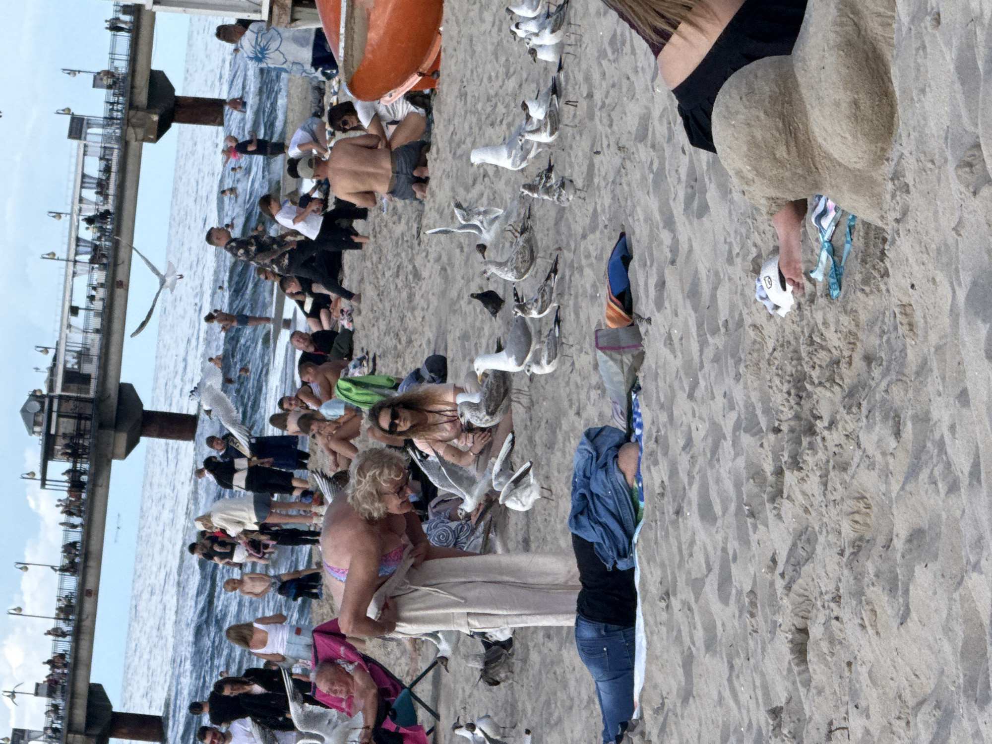 In Międzyzdroje, Poland, on a sandy beach, a diverse group of people enjoy a sunny day near the Baltic Sea. A long pier extends over the water, with a structure visible at its end. In the foreground, a woman in blue jeans and a black top lies on the sand, partially covered by a blue jacket. To her left, a woman in a pink chaise lounge is looking down. Scattered around the beach are numerous seagulls, some standing, some in flight, interacting with the people and the sand. People are seen sitting, lying, and walking on the beach. The water is choppy with waves.