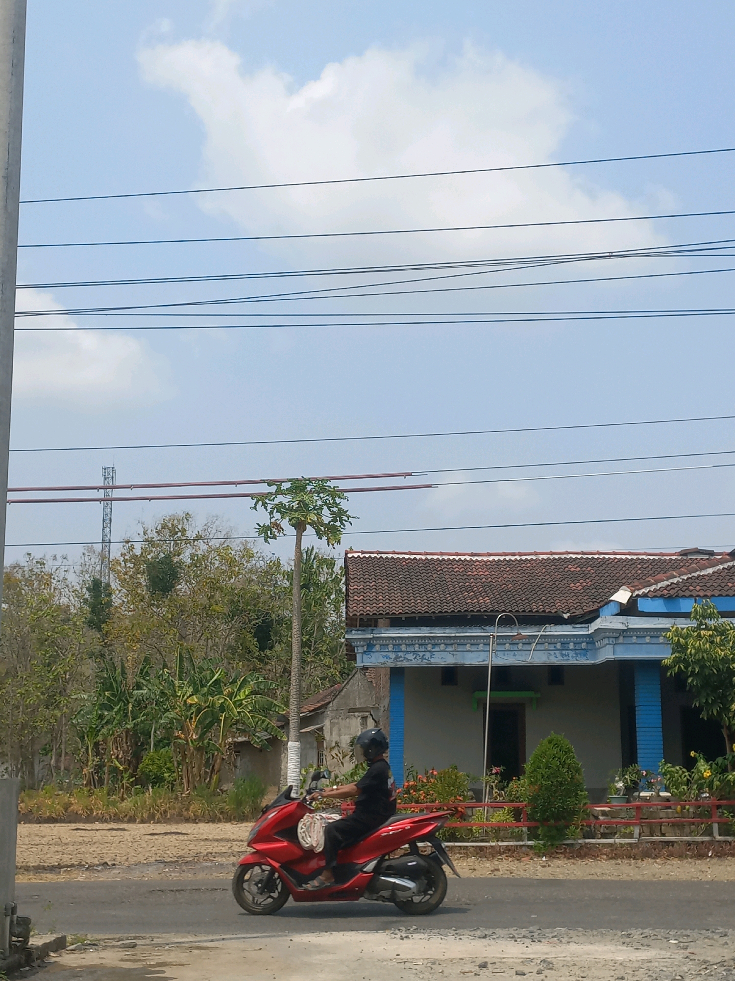 In Baturetno, Indonesia, a person wearing a black shirt and helmet rides a red motorcycle down a paved road. The motorcycle is a modern scooter, and the rider is seated, facing right. Behind the motorcycle, a single-story building with a tiled roof and blue trim is visible, surrounded by greenery. Several trees, including a tall, slender tree with sparse foliage, are present, along with a distant cellular tower. Power lines are strung across the sky, which is partly cloudy. The ground is a mix of asphalt and gravel, with some dry, patchy vegetation on the left side of the road.