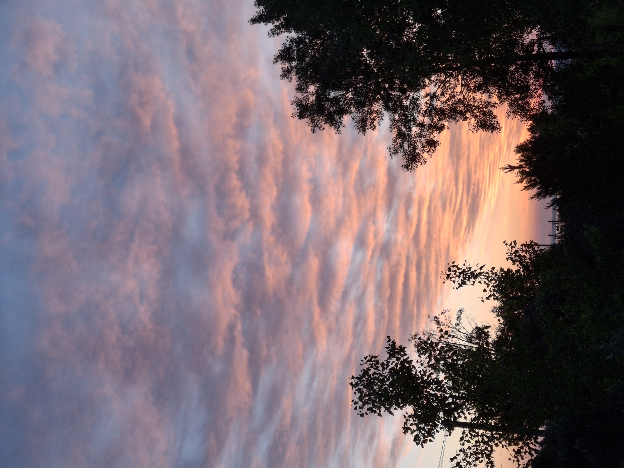 The image displays a vibrant sunset or sunrise sky, showcasing a dramatic interplay of colors. The sky is filled with elongated, ripple-like cloud formations that stretch horizontally across the frame. These clouds exhibit a gradient of hues, transitioning from soft blues and purples on the left side to intense oranges, pinks, and yellows on the right, where the sun is either setting or rising. The warm, radiant glow is concentrated towards the right, suggesting the source of light.
Dark silhouettes of tree branches and foliage frame the scene from the top right and bottom right corners, extending inwards and downwards. These trees are largely featureless due to the backlighting, appearing as stark, dark masses against the brightly colored sky. No specific structures or details are discernible in the shadowed foreground or along the distant horizon, which is also obscured by the trees.
The overall scene is tranquil and atmospheric, capturing a fleeting moment of natural beauty. There are no people visible, and no text is present in the image. The setting appears to be an outdoor, natural landscape at dawn or dusk, possibly in Chaikovsky, Russia, as per the provided context.