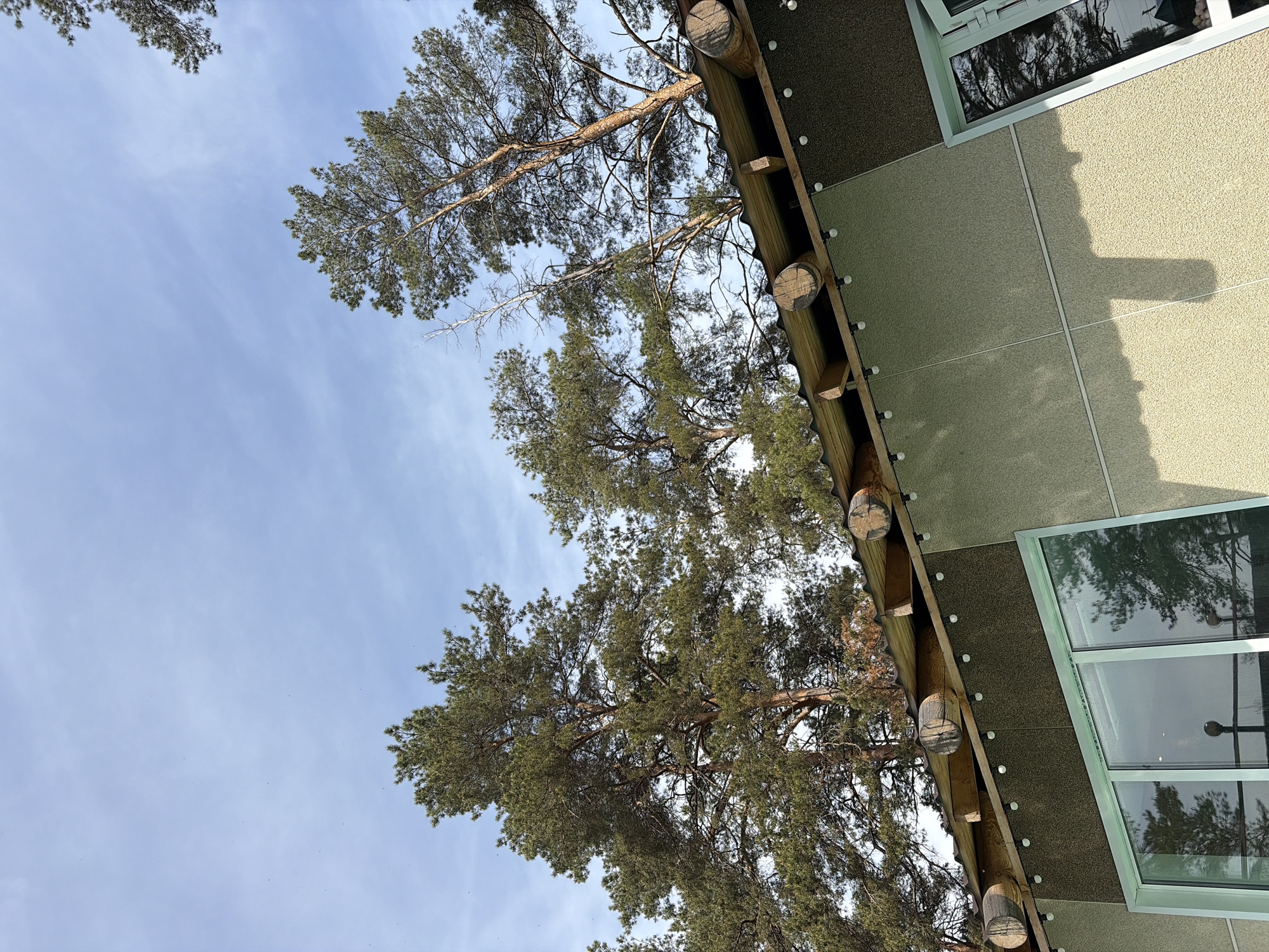 The image depicts a view upwards towards the sky, partially obscured by trees. A portion of a building is visible on the right side of the frame, featuring a textured exterior, a series of windows, and a wooden structure with round logs attached. The sky is pale blue with wisps of clouds. The trees are predominantly green with some dead branches. The location is Unknown, Unknown.
