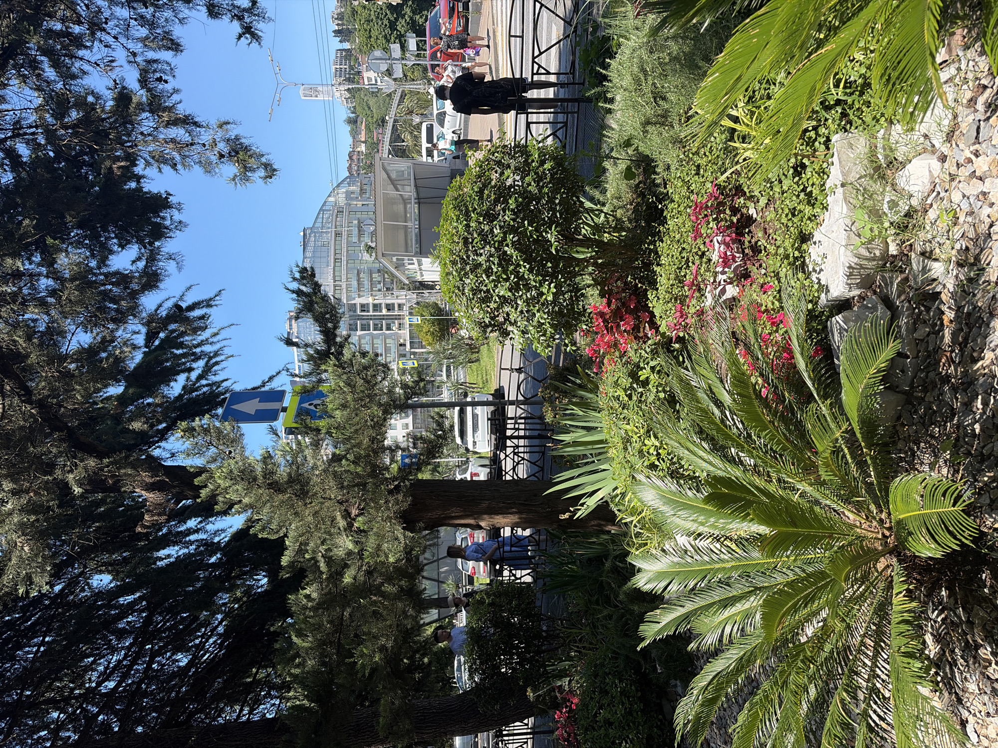 The image depicts a sunlit street scene in Sochi, Russia, with a foreground of lush green foliage and flowering plants. In the middle ground, a paved pedestrian crossing is visible, with several people waiting or crossing. Beyond the crossing, a modern, glass-fronted building with an arched roof dominates the skyline, characteristic of Sochi's contemporary architecture. Traffic signs, including one with an upward arrow, are present, indicating a road intersection. Trees with dense foliage line the street, providing shade. The overall impression is a vibrant urban environment integrated with natural elements and modern infrastructure.