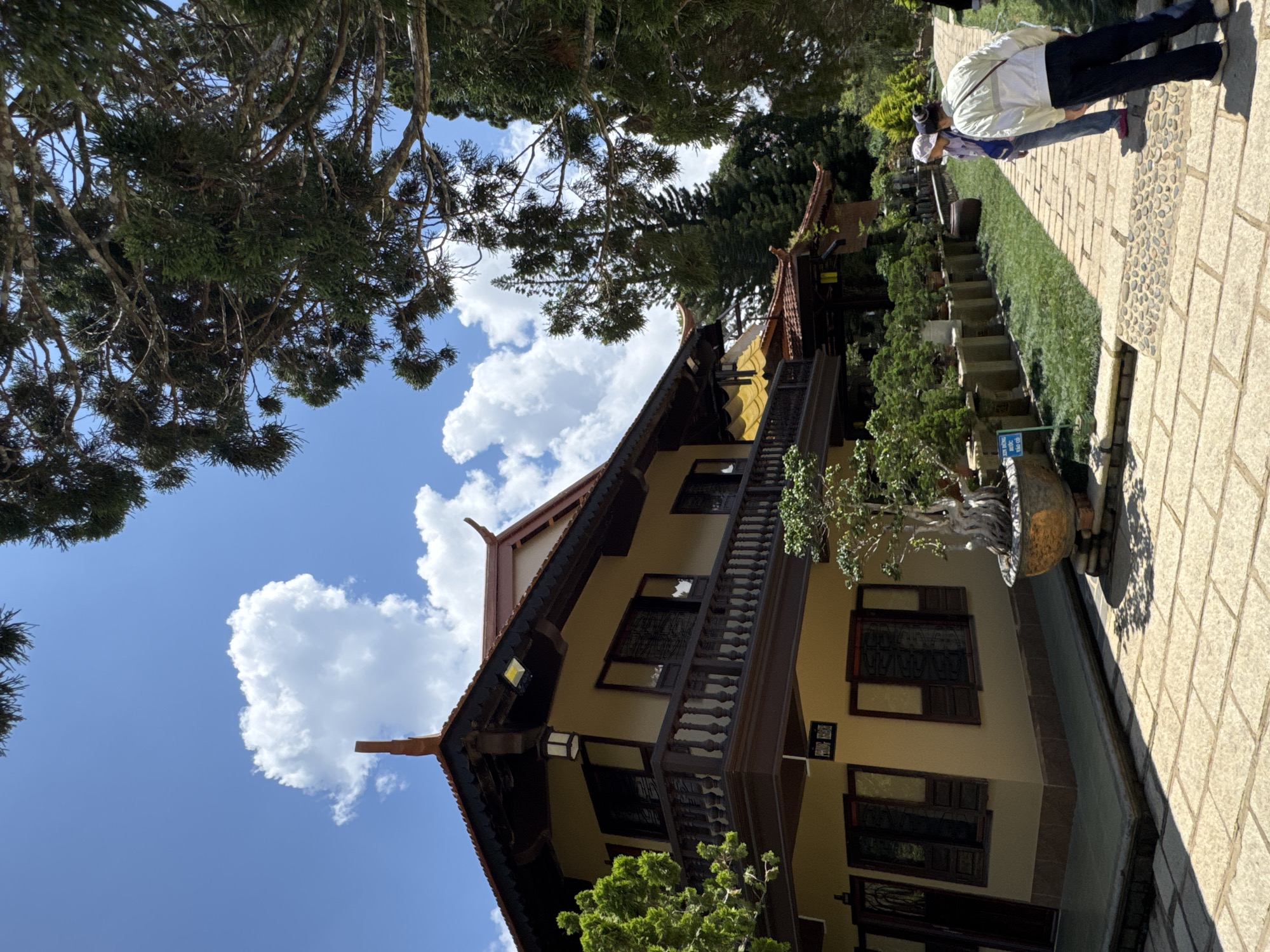 The image depicts a traditional Vietnamese building in Da Lat, Vietnam, likely part of a temple or cultural complex. The building features a multi-tiered, dark-tiled roof with upward-curving eaves, characteristic of East Asian architecture. The walls are painted a warm, light yellow, with dark wooden trim around the windows and balconies. A prominent wooden balcony with decorative railings extends across the upper level, accessible by wooden stairs.
In front of the building, a well-maintained garden area is visible. A large bonsai tree in a decorative pot is placed near the building's corner. A paved pathway, made of large rectangular stones, leads through the garden. The pathway is bordered by manicured grass and rows of smaller potted plants.
Two individuals are present on the pathway, viewed from behind. One person, wearing a light-colored jacket and jeans, is looking towards the building. The other person, wearing a light-colored jacket and a pink hat, is also facing away from the camera, seemingly engaged in conversation or observation.
The environment is sunny with a bright blue sky dotted with fluffy white clouds. Tall, mature trees, possibly pine or cypress, flank the pathway and the building, providing shade and framing the scene. The overall impression is one of serenity and cultural significance, set within a lush, natural landscape.
