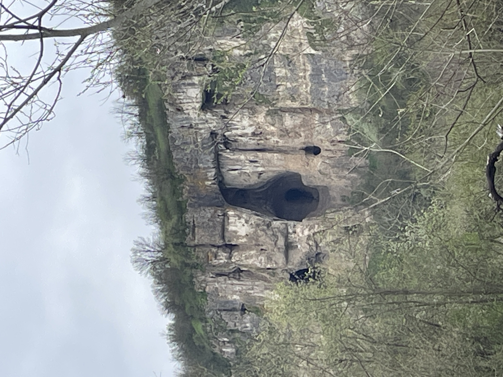 The image depicts a limestone cliff face with several cave openings, partially obscured by trees and vegetation. The sky is overcast. The location is likely in or near Barkach, Bulgaria, given the prompt. There are no people visible. The cliff shows signs of erosion and stratification. A prominent cave opening resembles a heart shape.