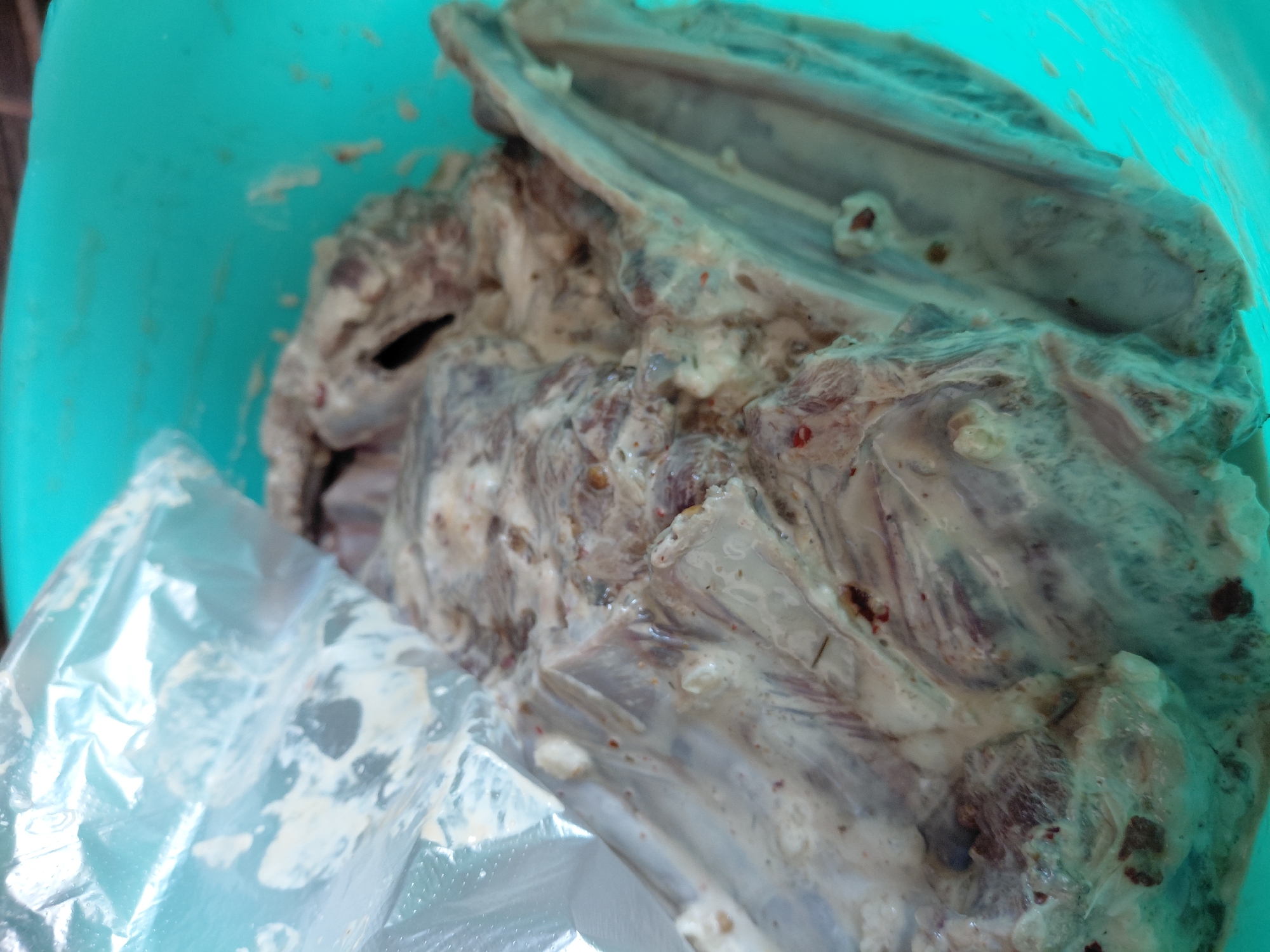 A close-up, overhead shot shows a raw cut of meat, likely lamb or pork ribs, covered in a creamy marinade and possibly spices, situated in a turquoise plastic bowl. The meat is partially obscured by a translucent plastic bag. The lighting is bright, and the background is out of focus, showing a blurry turquoise surface. The scene does not provide any identifiable landmarks or details to suggest a specific location in Novosibirsk, Russia, or any other city.