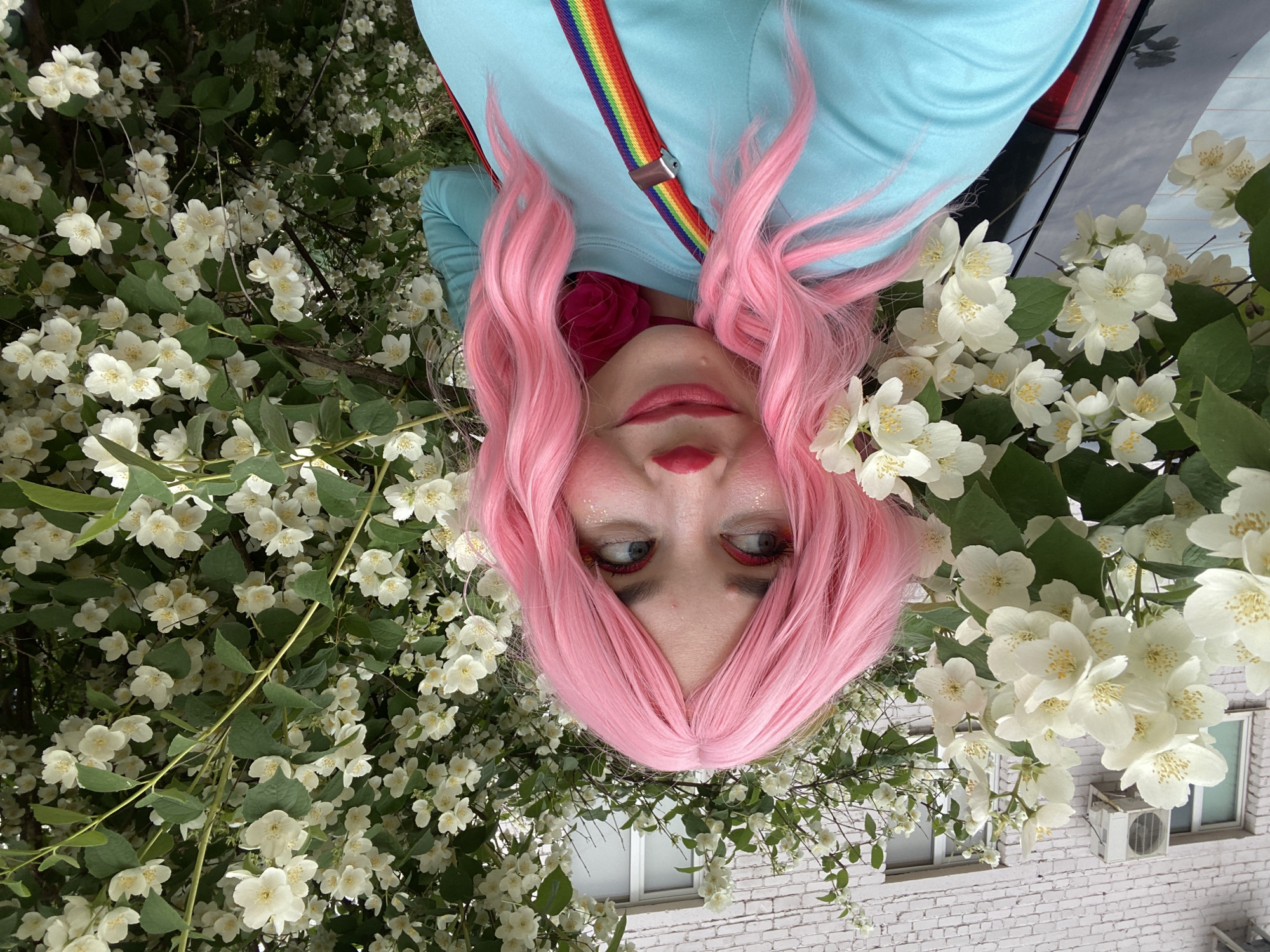 A young woman with bright pink wig, red clown nose, and sparkly makeup is taking a selfie outdoors. She is wearing a light blue long-sleeved shirt with rainbow suspenders. The woman is positioned in front of a blooming jasmine bush, with white flowers and green leaves filling the background. Behind the bush, a building with white brickwork and windows is visible, as well as an air conditioning unit mounted on the wall. A portion of a dark-colored car is visible on the left side of the image. The scene appears to be in a residential area of Chaikovsky, Russia, indicated by the architecture and the presence of the car.