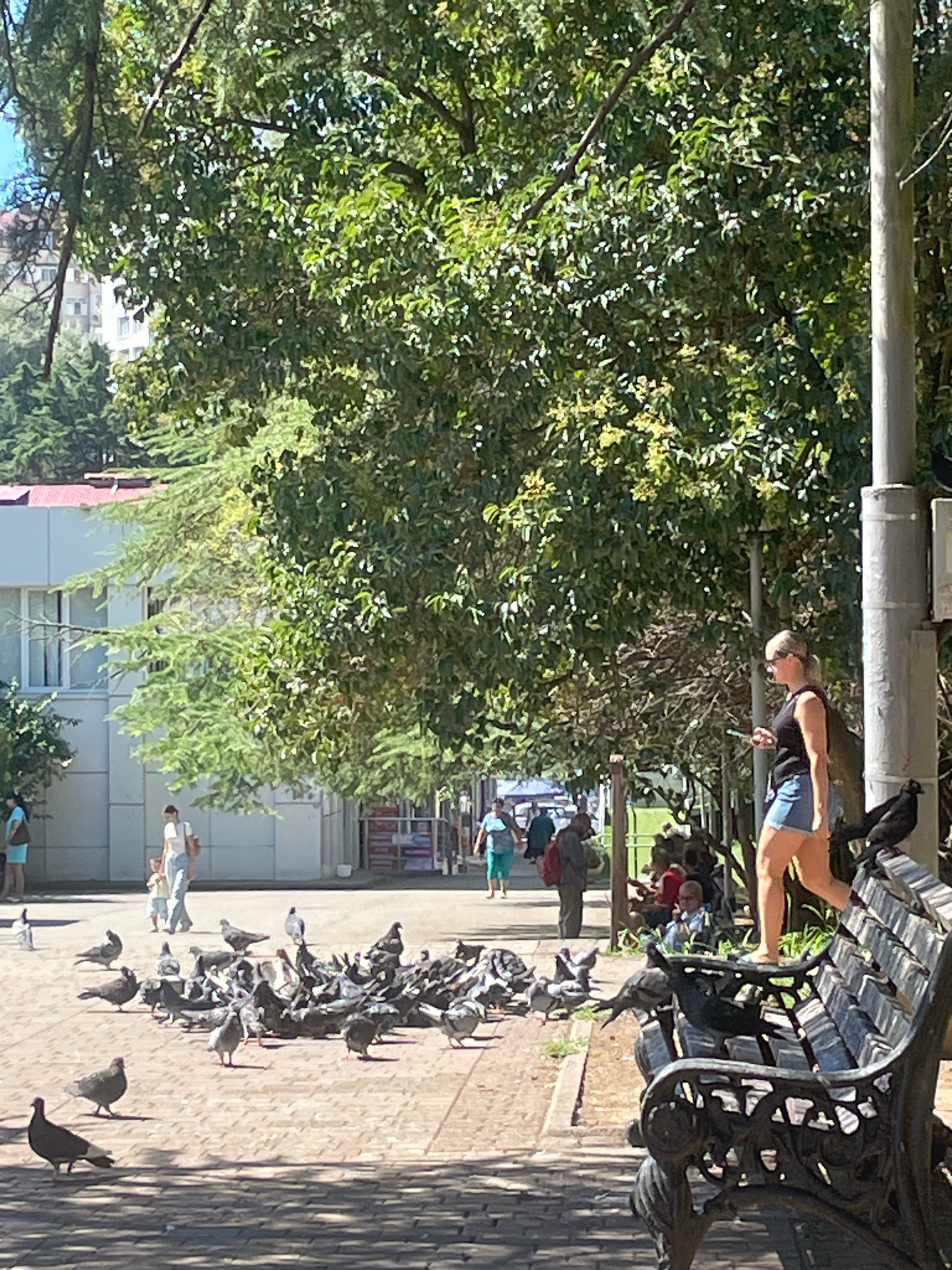 In an outdoor urban setting, possibly a park or pedestrian area in Sochi, Russia, a woman with blonde hair pulled back, wearing a black tank top and denim shorts, walks away from the camera, holding a smartphone in her right hand. She is in the foreground on the right side of the image, walking along a paved path. A black bird is perched on the back of an ornate black metal bench to her left. The bench is partially occupied by several other dark-colored birds. In the middle ground, a large flock of pigeons is gathered on the paved ground, pecking at the surface. Further back, several people are walking or standing. To the left, a building with white walls and a red roof is visible. Lush green trees with dense foliage provide shade over the scene. The ground is paved with interlocking bricks, and sunlight casts shadows from the trees and an overhead structure.