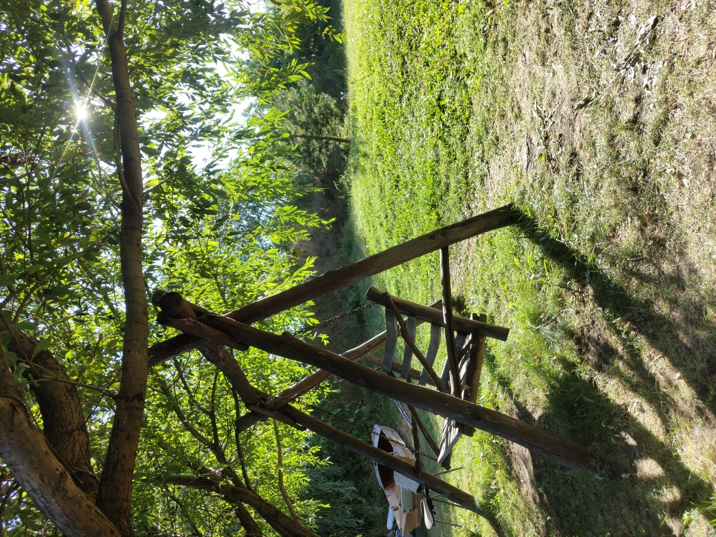 An eye-level, medium shot captures a sun-drenched outdoor scene under the dappled shade of a large tree. A rustic, wooden swing set, constructed from rough-hewn logs, stands prominently in the foreground. The swing seat itself is made of wooden slats. To the left of the swing, a small, light-colored boat is partially visible, resting on the ground with a metal chair nearby. The ground beneath the swing is covered in grass and patches of dirt, with long shadows stretching across it from the overhead branches. Beyond the swing set, a vibrant green lawn extends into the background, dotted with trees. The sunlight filters through the leaves of the tree, creating a bright, lens-flare effect in the upper right quadrant of the image. The setting appears to be a peaceful, natural environment, likely a yard or park, possibly in or near Speia, Moldova. There are no people or animals visible in the frame.