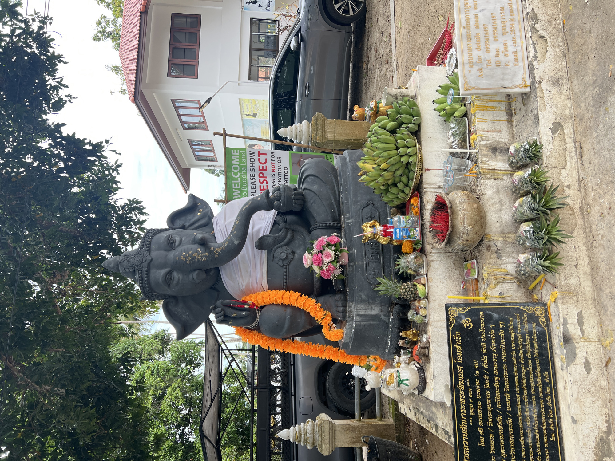A large, dark gray statue of Ganesha, adorned with a white cloth, an orange floral garland, and pink flowers, is the central focus of this image, oriented as if viewed vertically. Gold leaf accents are visible on the statue's trunk and face. Surrounding the Ganesha statue are numerous offerings, including a golden tray piled with fresh bananas, individually wrapped pineapples, bottles of water, and other packaged goods. Lit candles and incense sticks in a pot indicate an ongoing devotional act. Small golden statues and ceramic figurines are also placed among the offerings.
In the background, a modern white building with a terracotta-colored roof and brown-framed windows is visible, with a dark gray car parked beside it. Lush green trees frame the scene on the left side and top. The ground appears to be a mix of dirt and concrete.
Several signs provide context. A prominent black plaque with gold Thai script details a prayer or offering ritual, including instructions to light 9 incense sticks and a Ganesha mantra. Another white marble plaque has Thai and English text, offering contact information ("Ask for details about worship," Tel, ID line, Email). A green banner sign reads, "WELCOME to Buddha Land PLEASE SHOW RESPECT BUDDHA IS NOT FOR DECORATION OR TATTOO," suggesting a religious site. The bright, overcast daylight indicates it is daytime. The combination of offerings, the Ganesha statue, and the Thai text points to a cultural or religious site in Baan Harn, Thailand.