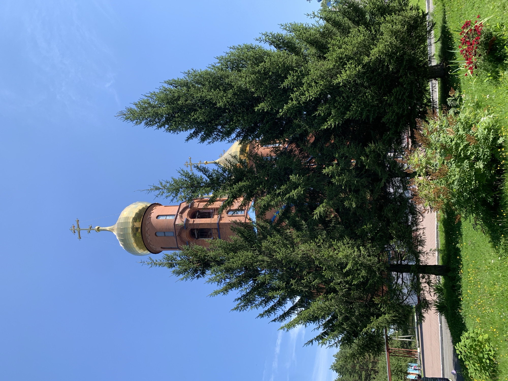 The image shows an Orthodox church in Prokopyevsk, Russia, characterized by its red brick facade and golden domes. Two tall evergreen trees stand prominently in the foreground, partially obscuring the view of the church. The sky is clear blue. In the middle ground, a paved walkway with red brick patterns is visible, bordered by a green lawn with scattered yellow wildflowers. A low hedge and red flowers are also present in the foreground. In the background, a glimpse of a structure with a metal frame can be seen, along with some distant trees. The scene appears to be a sunny day, suggesting an outdoor setting in a park or church grounds. There are no people actively engaged in any interactions.
