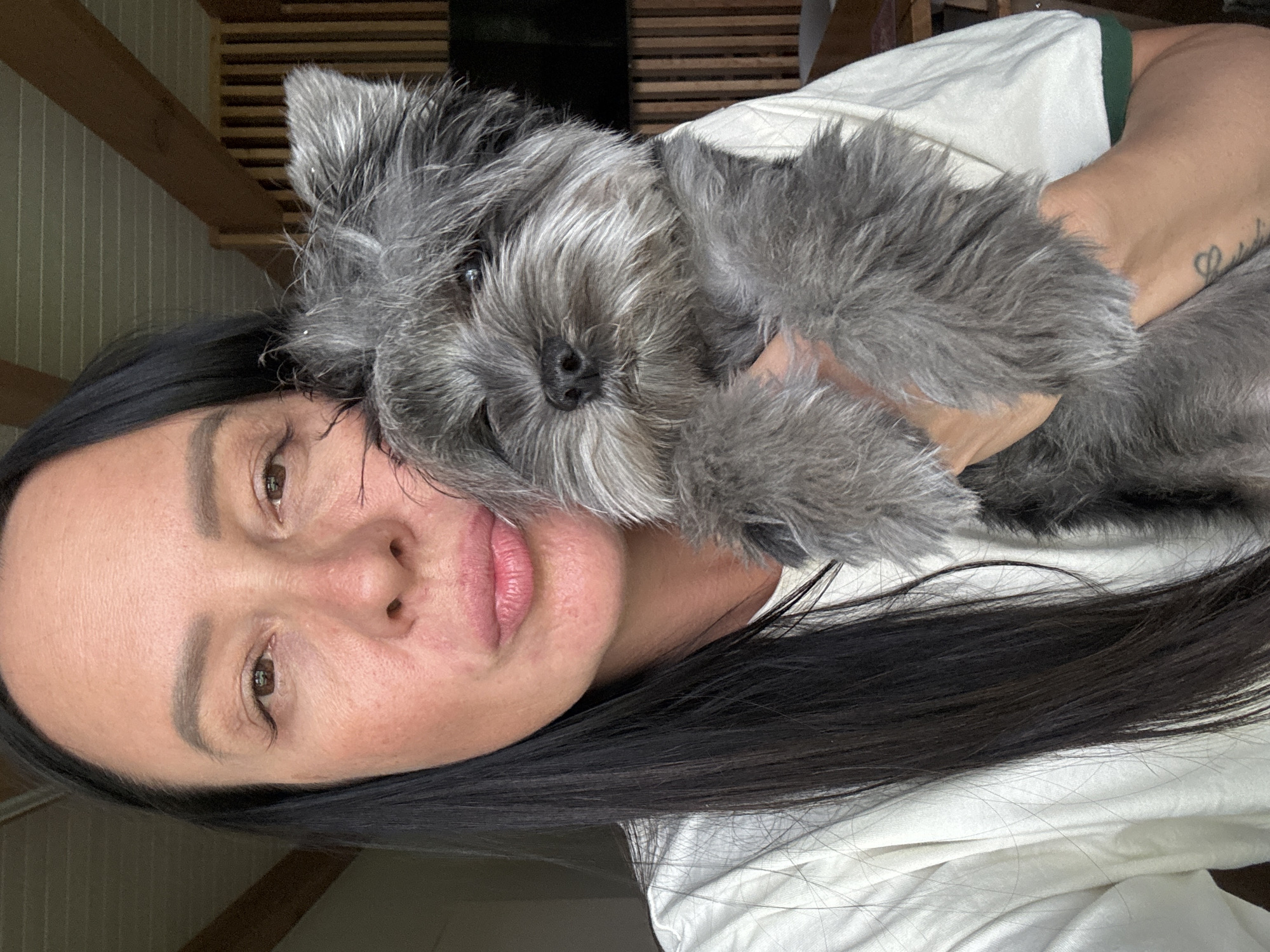 A woman with long, dark hair and fair skin holds a gray, medium-sized terrier-type dog close to her face. The background includes wood slats and a dark rectangle, possibly a television. The woman is wearing a white shirt with a dark green collar. The dog's face is near the woman's cheek. Location and city details are unavailable.