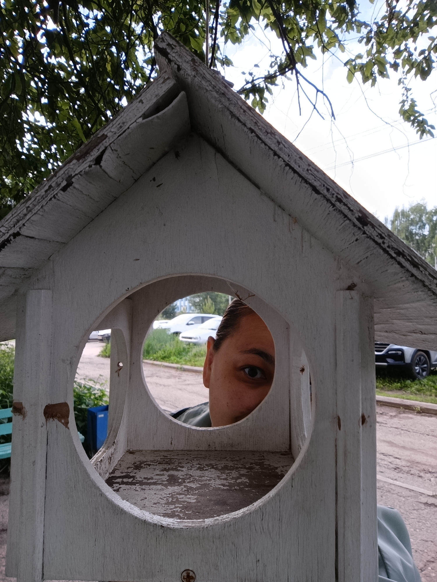 A person's eye peeks through a round opening in a weathered, white wooden birdhouse. The birdhouse is partially obscured by branches and leaves from a tree overhead. In the background, through the opening, two cars are visible on a paved surface, along with green foliage and a blue trash bin. The scene appears to be outdoors, possibly in a park or residential area, in the city of Chaikovsky, Russia.