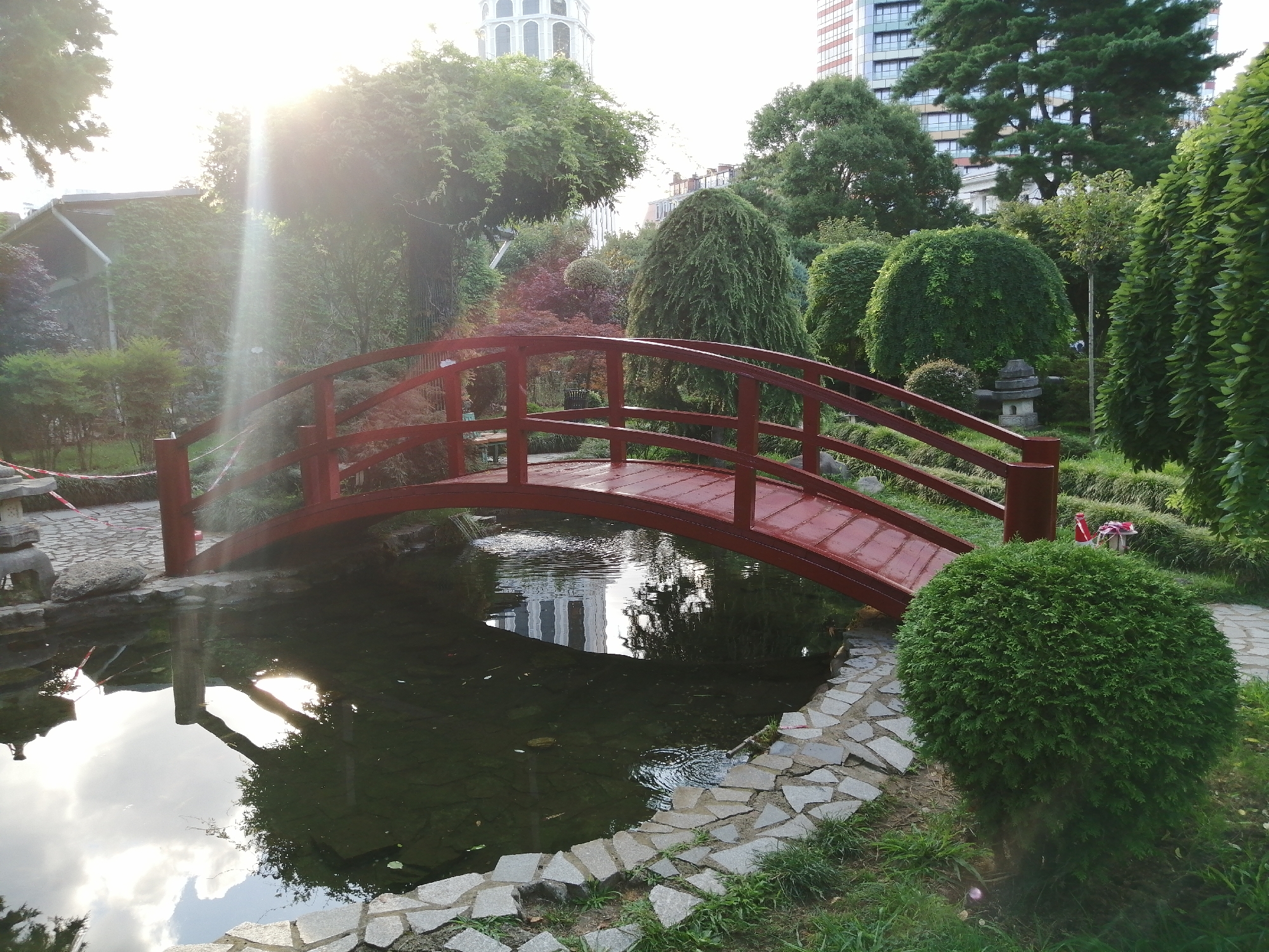 The image depicts a serene Japanese garden scene, featuring a red wooden arched bridge spanning a dark, reflective pond. The bridge's railings and wooden planks are clearly visible. The pond's surface mirrors the surrounding lush greenery, a tall, modern building with a distinctive architectural style, and the bright sky with a lens flare effect from the sun, indicating it is either early morning or late afternoon. Various types of manicured trees and bushes create a dense, verdant landscape around the pond and bridge. A stone lantern is visible near the pond's edge, and a pathway made of irregular flat stones borders the water. The overall atmosphere is peaceful and tranquil, characteristic of a well-maintained garden. This scene is located in the Batumi Botanical Garden, Batumi, Georgia, specifically within the Japanese Garden section.