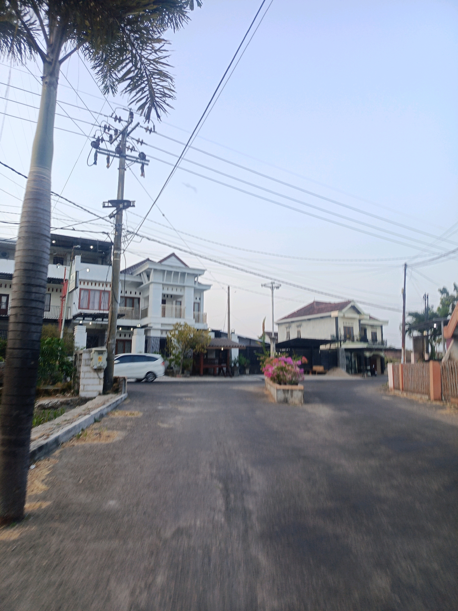 The image captures a street scene in Nitikan, Indonesia, likely during the late afternoon given the soft lighting and clear sky. A palm tree dominates the left foreground, its textured trunk and fronds partially obscuring the view. The street itself is asphalt, appearing well-maintained and free of significant debris.
On the left side of the street, a multi-story white house with a red-tiled roof stands, featuring balconies and prominent windows. Adjacent to it, another modern white house with similar architectural elements is visible. A white car is parked on the left side of the road, in front of the first house. A concrete curb separates the road from a planted area with sparse vegetation.
Further down the street, a cluster of pink and purple flowers in a rectangular planter box sits in the middle of the road. Beyond the planter, another multi-story house with a white facade and a dark-tiled roof is prominent. This house has balconies and large windows, and a dark, covered entrance area. A fence made of bamboo or similar material lines the right side of the street, with a peach-colored pillar visible. Overhead, a complex network of power lines and utility poles crisscrosses the sky, a common sight in urban and suburban Indonesian landscapes. The overall impression is of a residential area with modern homes and established infrastructure.