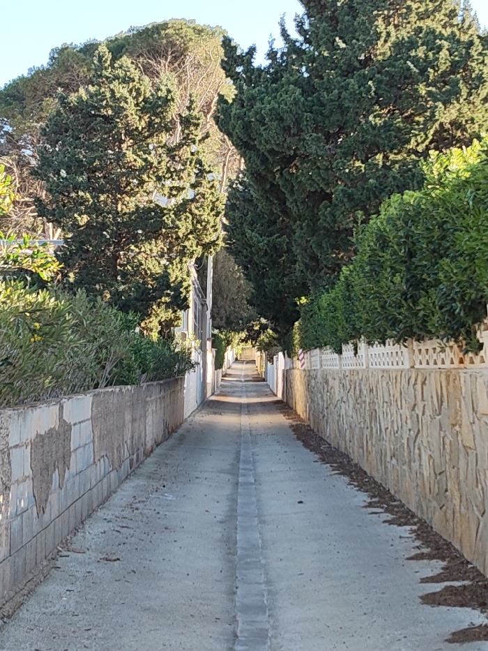 This image depicts a deserted, narrow paved lane in Rotes, Spain, viewed longitudinally. The concrete surface of the lane features a central textured strip and scattered organic debris along its edges. Strong directional sunlight from the left illuminates the upper portions of the scene and casts prominent, elongated shadows diagonally across the lane towards the right.
On the left side, the lane is bordered by a roughly constructed concrete block wall, approximately one meter in height, exhibiting significant surface deterioration including exposed aggregate and peeling light-colored render. Behind this wall, dense green shrubs and trees are visible, partially obscuring sections of a white building featuring closed window shutters. Overhead, large, dark green conifer trees, consistent with cypresses, dominate the skyline.
The right side of the lane is demarcated by a light-toned wall constructed from irregularly shaped, flat stone cladding. This wall is topped by a white decorative balustrade with a repeating pattern. Behind the balustrade, a dense, well-maintained green hedge runs the visible length of the lane. Tall conifer trees, similar to those on the left, are also present. A red and white striped pole is identifiable in the mid-ground on this side. The lane gradually narrows and recedes into the distance under a clear, pale blue sky. No individuals or active subjects are present in the scene.