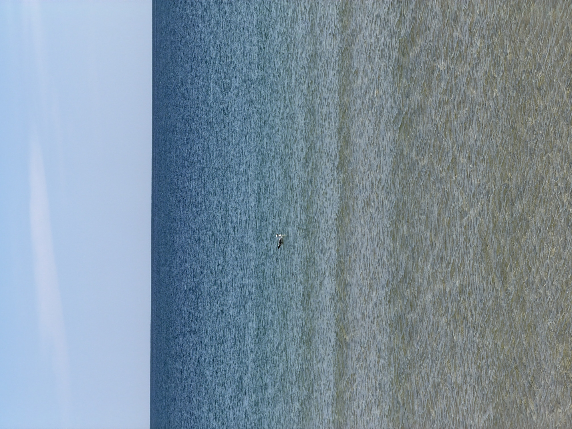 The scene is an aerial shot of the Black Sea near Varna, Bulgaria. The left edge is the pale blue sky meeting the dark blue sea, with a single bird flying over the water. The water itself transitions from a darker blue on the left to a lighter, sandier color towards the right. The water's surface has a textured appearance from ripples or wave patterns.