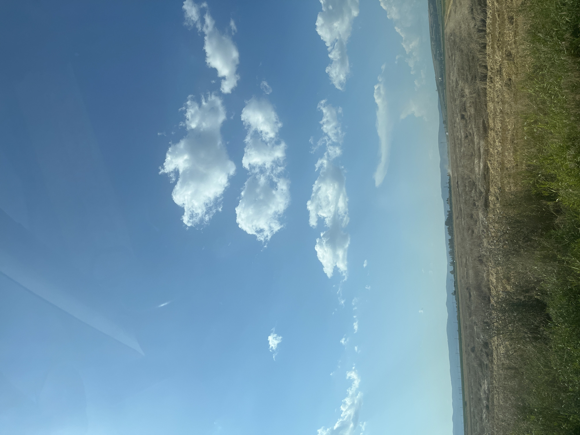 The image depicts a vast, sunlit landscape in Moacșa, Romania, under a clear blue sky dotted with fluffy white clouds. The foreground is dominated by a harvested field, with stubble and dry grass extending towards a further field that appears to have been recently cut, showing swathes of lighter-colored earth interspersed with remnants of crops. In the middle ground, more fields and distant trees are visible, with power lines and a faint industrial structure on the horizon. The background is comprised of rolling hills and mountains, their forms softened by distance and atmospheric haze. The overall impression is one of a rural, agricultural setting bathed in natural light. There are no people or animals visible in the image.