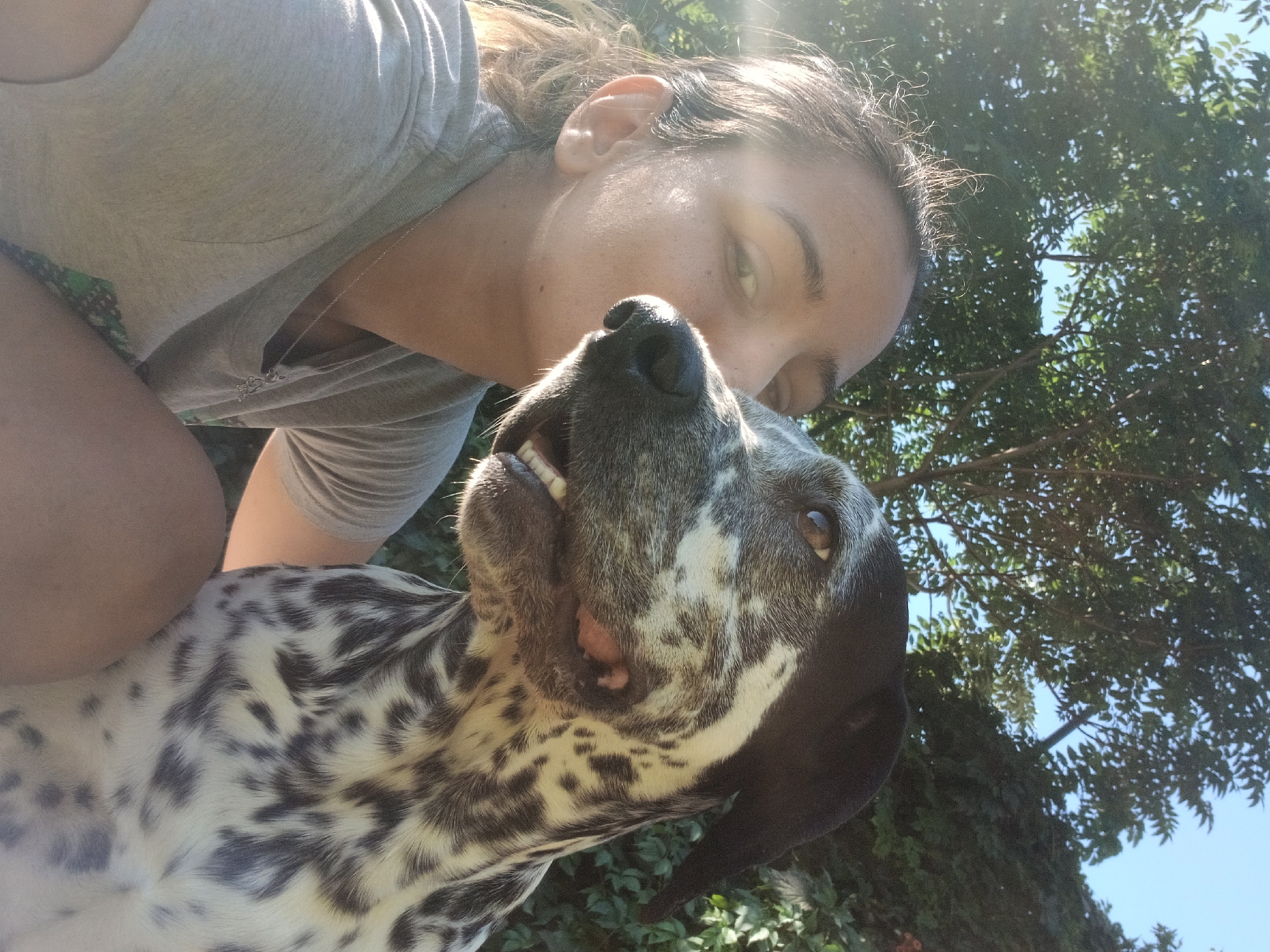 A close-up, low-angle selfie features a woman and a dog outdoors. The woman, in the foreground on the left, is wearing a light gray t-shirt and has dark hair pulled back. Her left eye is visible as she looks toward the camera, and her left ear is also visible. The dog, to the right, is a medium-sized dog with a black and white spotted coat. Its head is in profile, facing right, with its mouth slightly open, revealing its teeth and tongue. The background consists of green foliage and trees, with a bright blue sky visible above. Sunlight casts a warm glow on the scene, with some lens flare to the left of the woman's face.