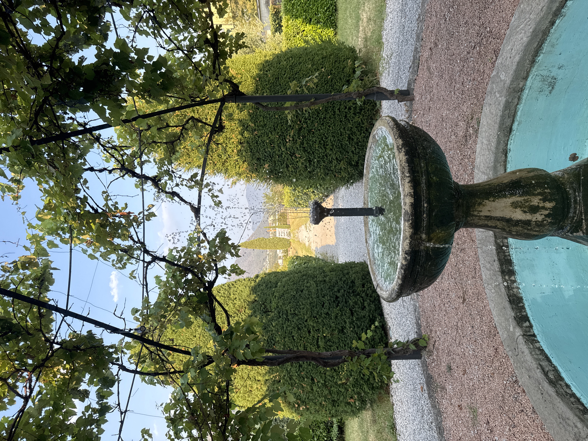 An outdoor garden scene in Balerna, Switzerland, features a stone fountain in the foreground with water flowing into its basin. The fountain is surrounded by gravel paths and meticulously sculpted green bushes. Above the fountain, a vine-covered pergola with green leaves creates a canopy. In the background, a pathway leads towards a distant landscape with trees and buildings, suggesting a residential area or park. The sky is partly cloudy and blue. There are no people visible in the image.